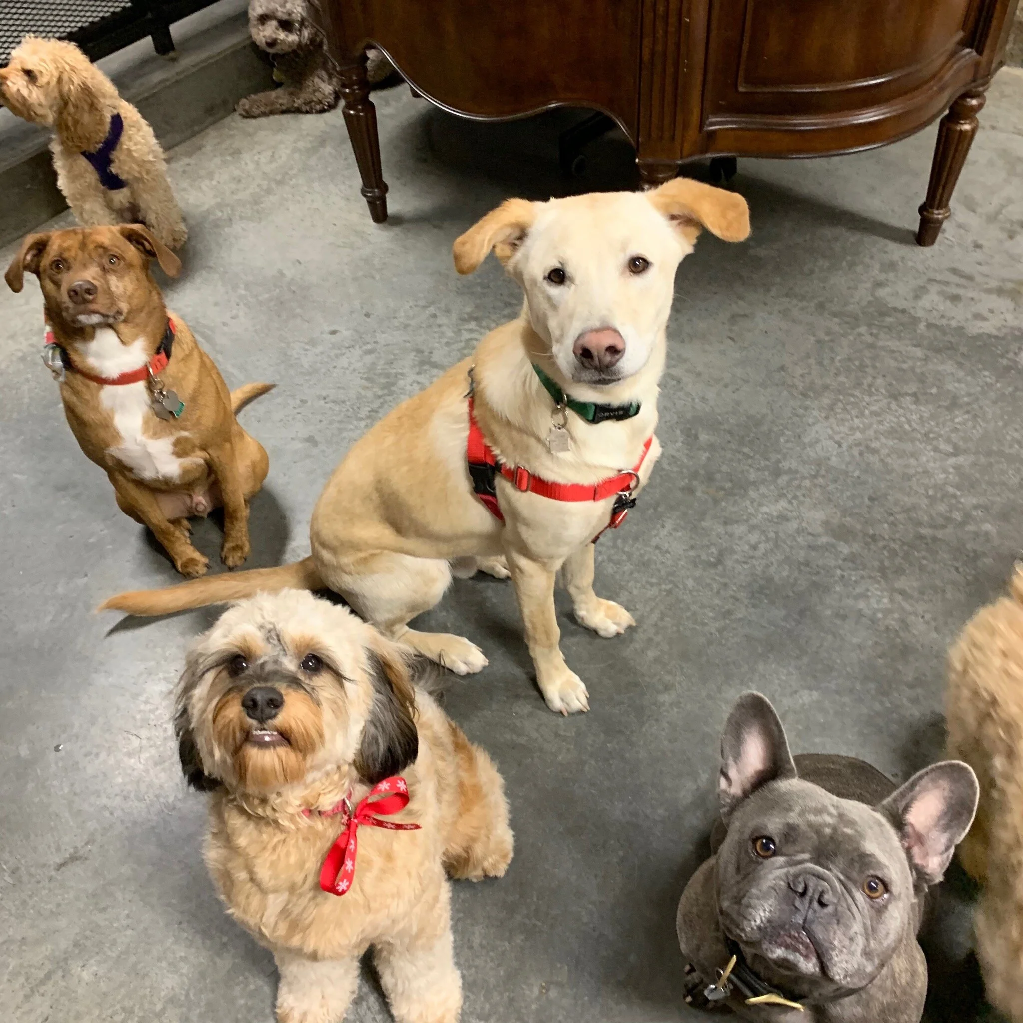 Meet your new crew! 