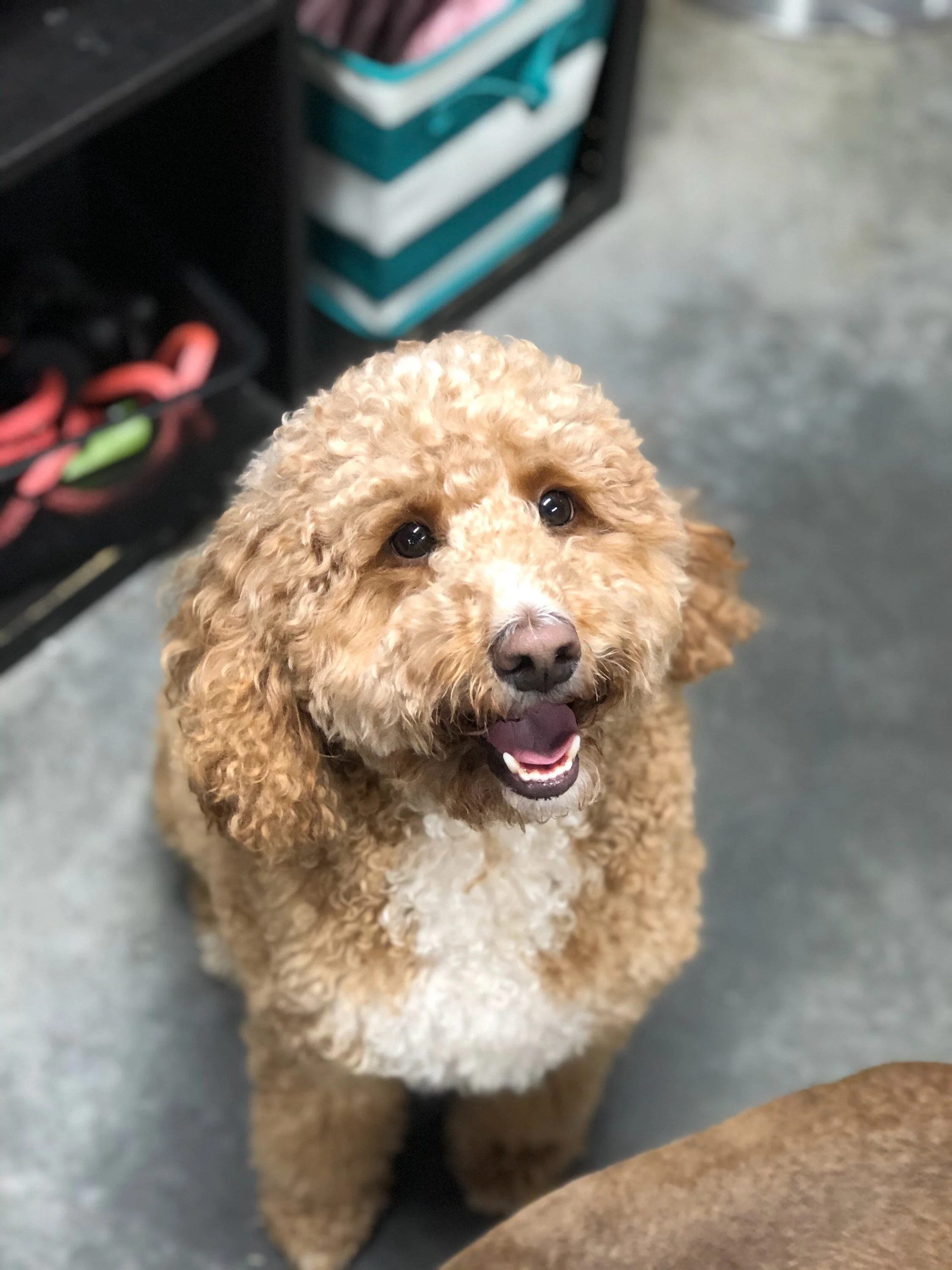  Rudy is so handsome! 