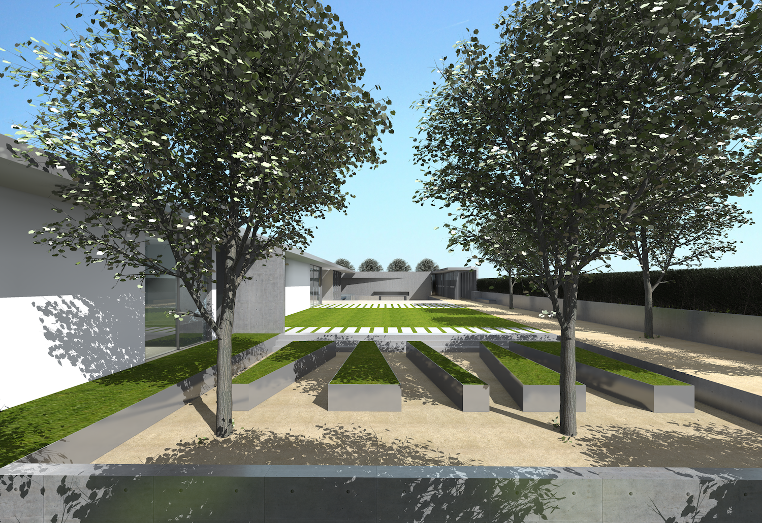 5 veggie garden final.png