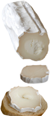 tidbit-cheese.png