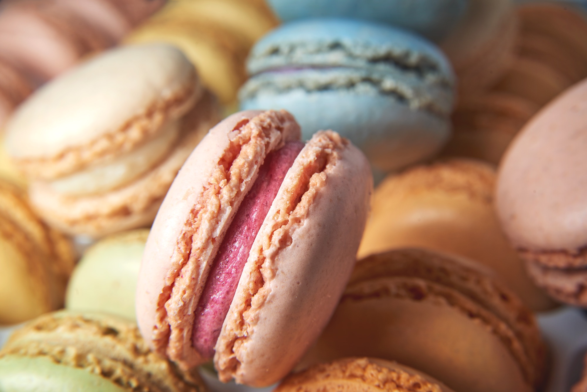Pastel Macaron