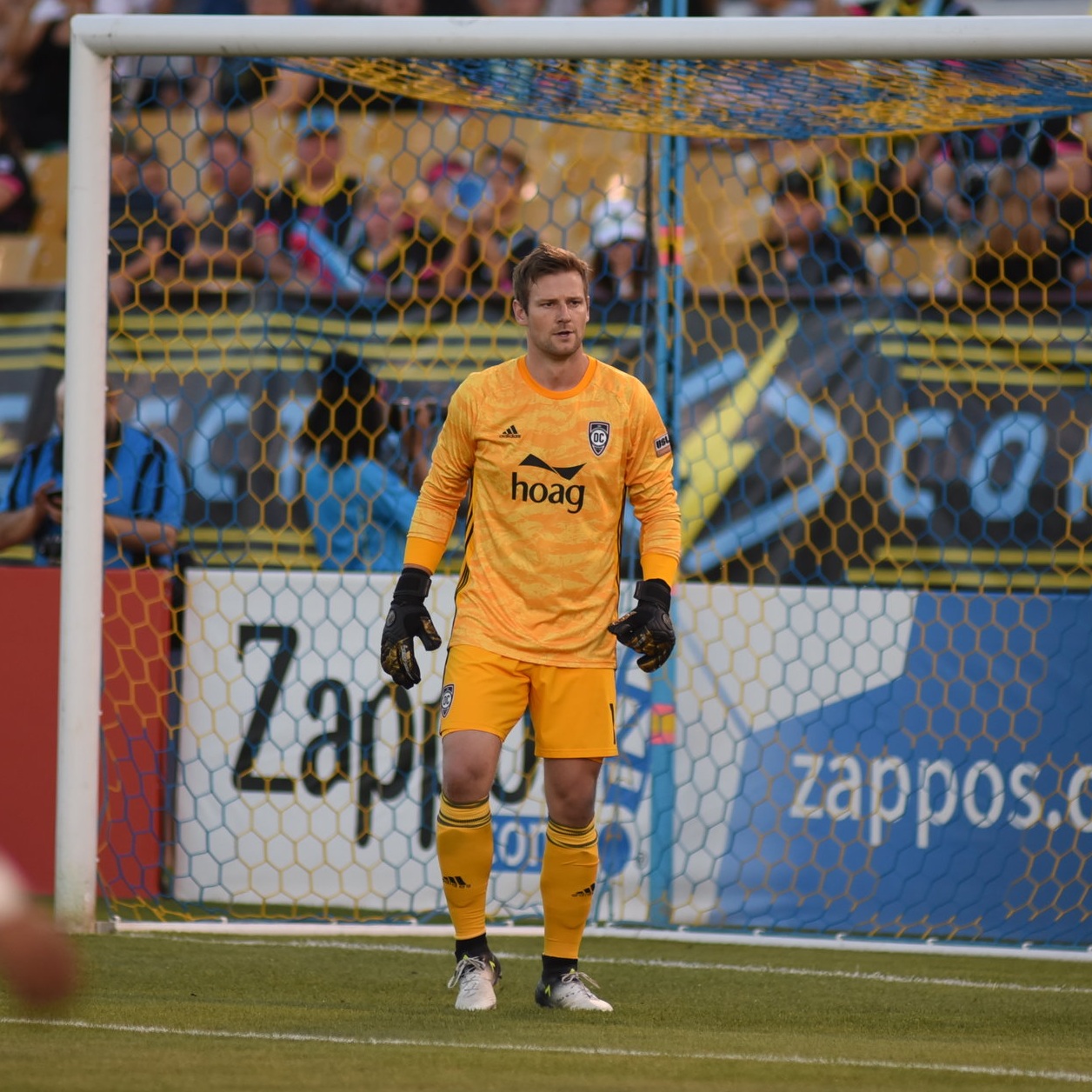 Ep. 50: 1 Year In, Many More to Go (Hopefully)