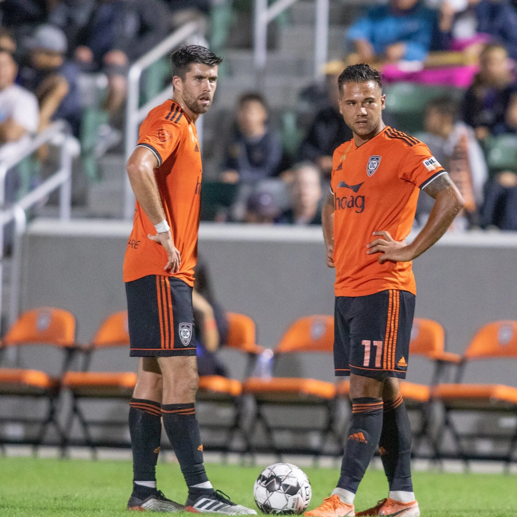 Ep. 74: It's Grading Time, Pt. 2 - A Tough Road to Hoe