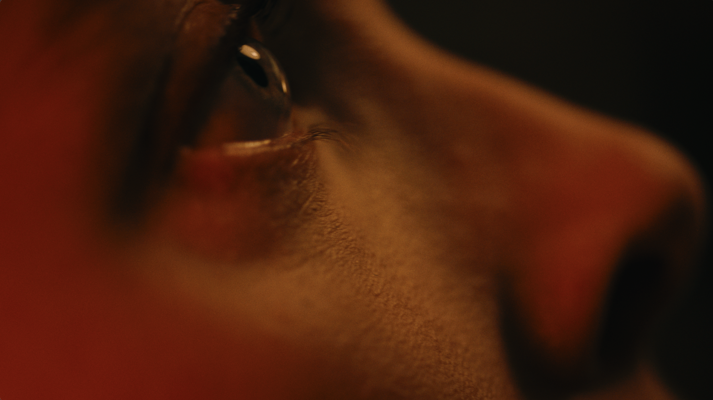 M Project_still 8.png