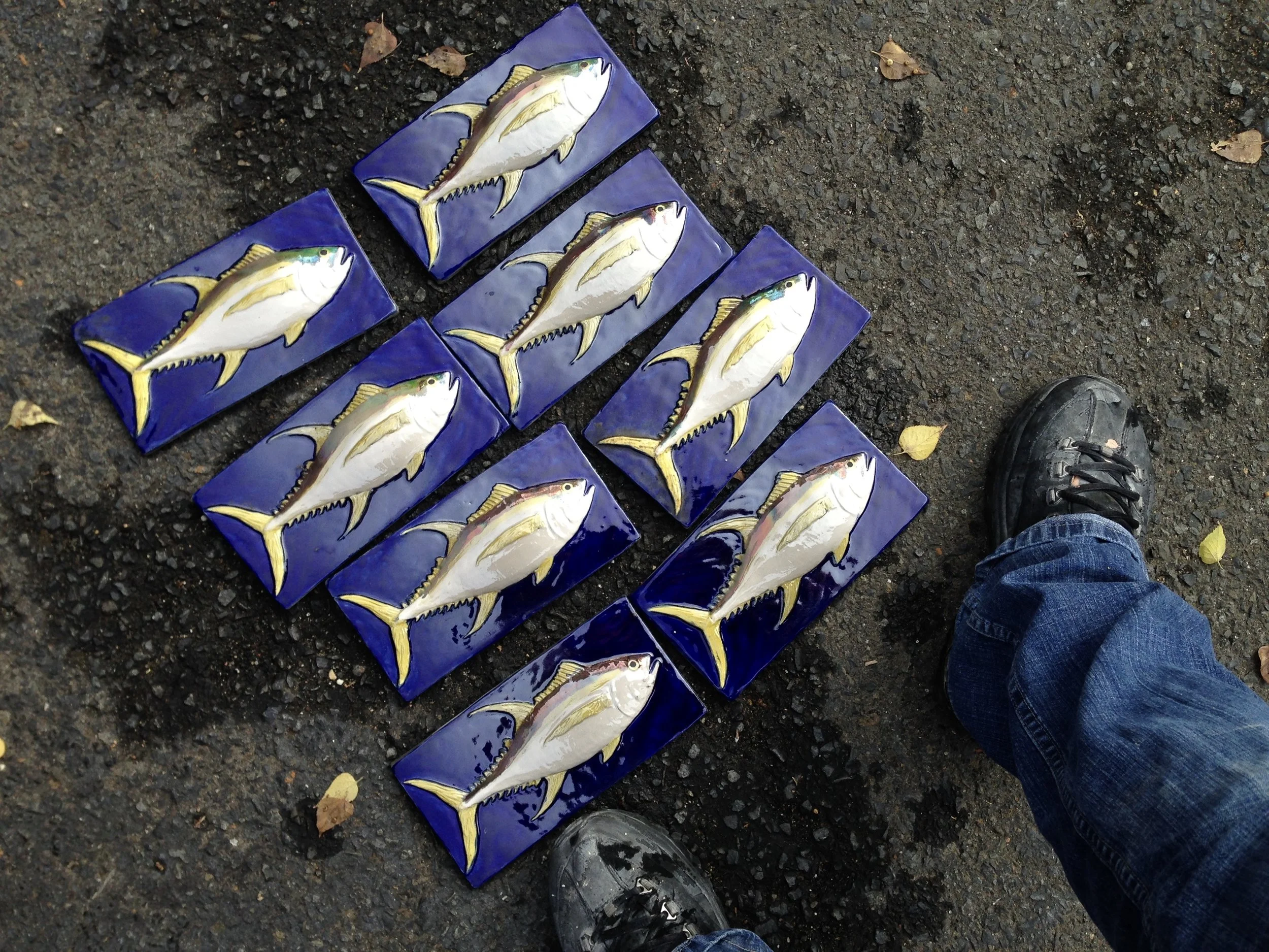 school of tuna