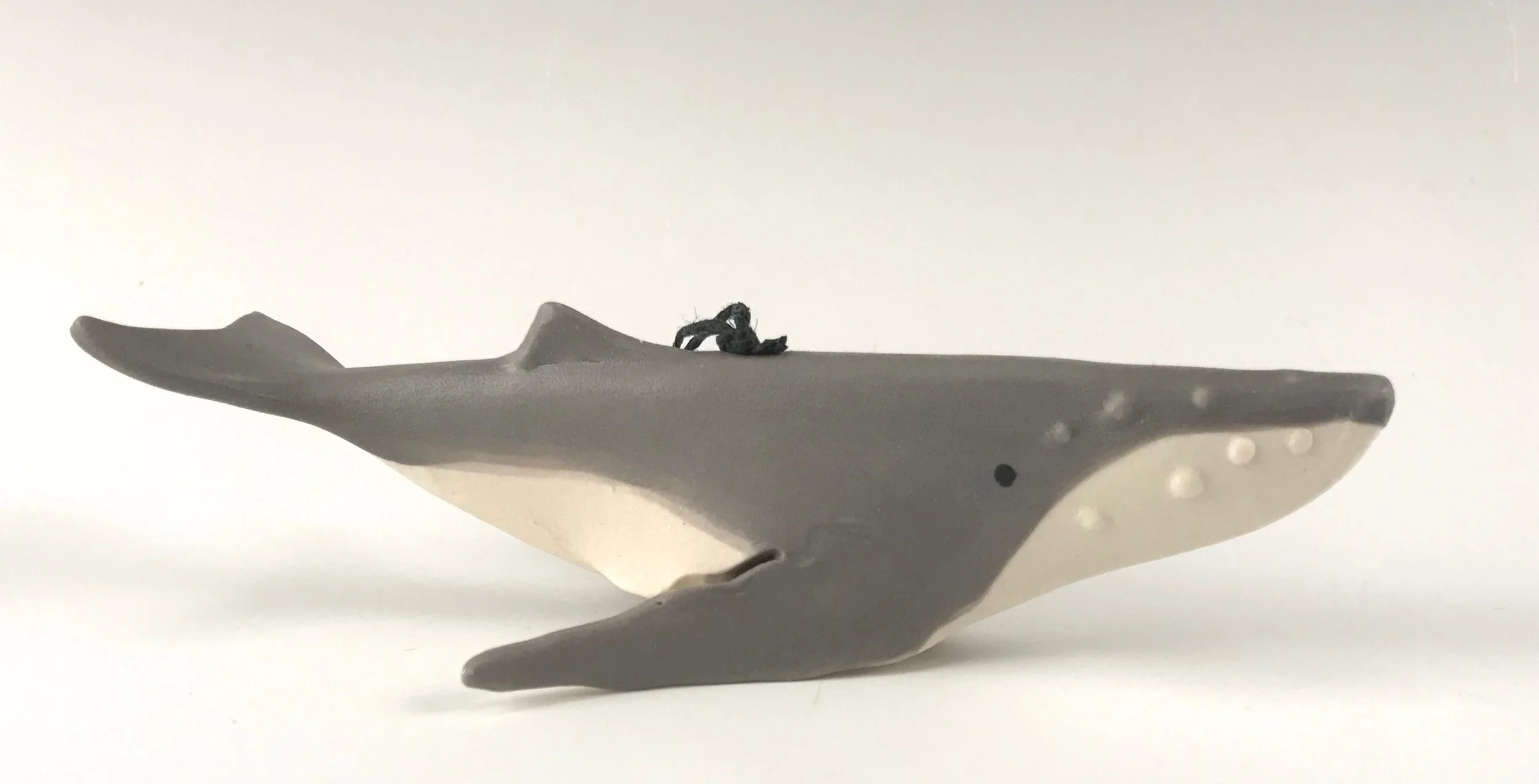 HUMPBACK WHALE