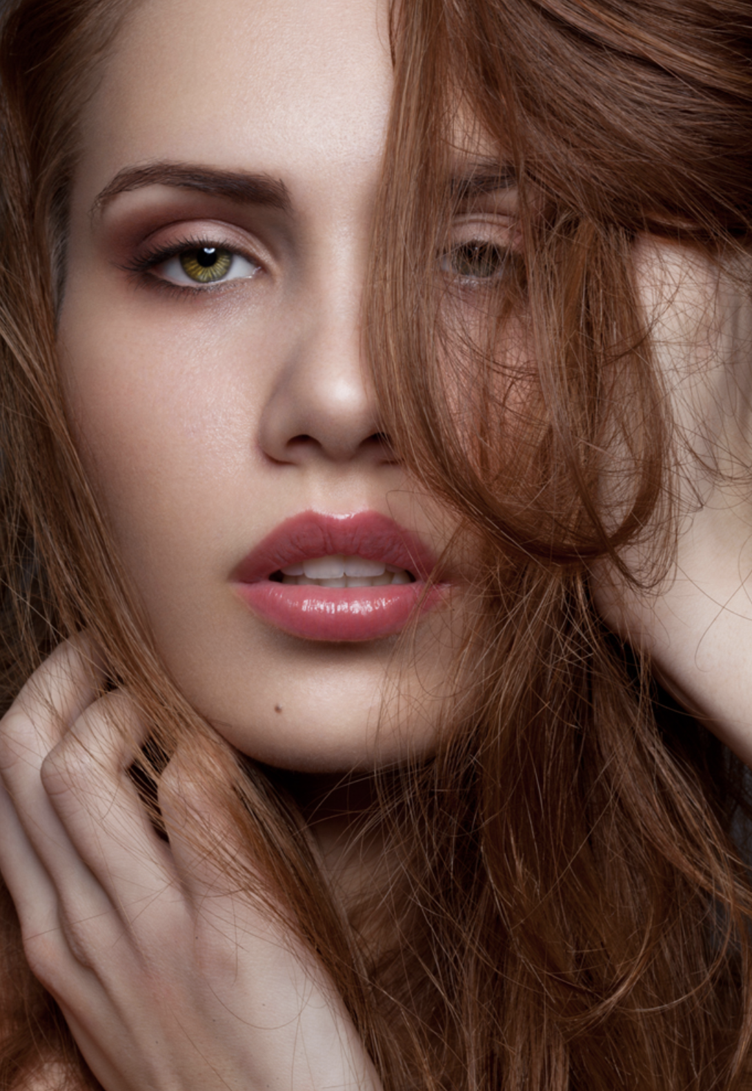 Screen Shot 2019-01-31 at 2.33.45 PM.png