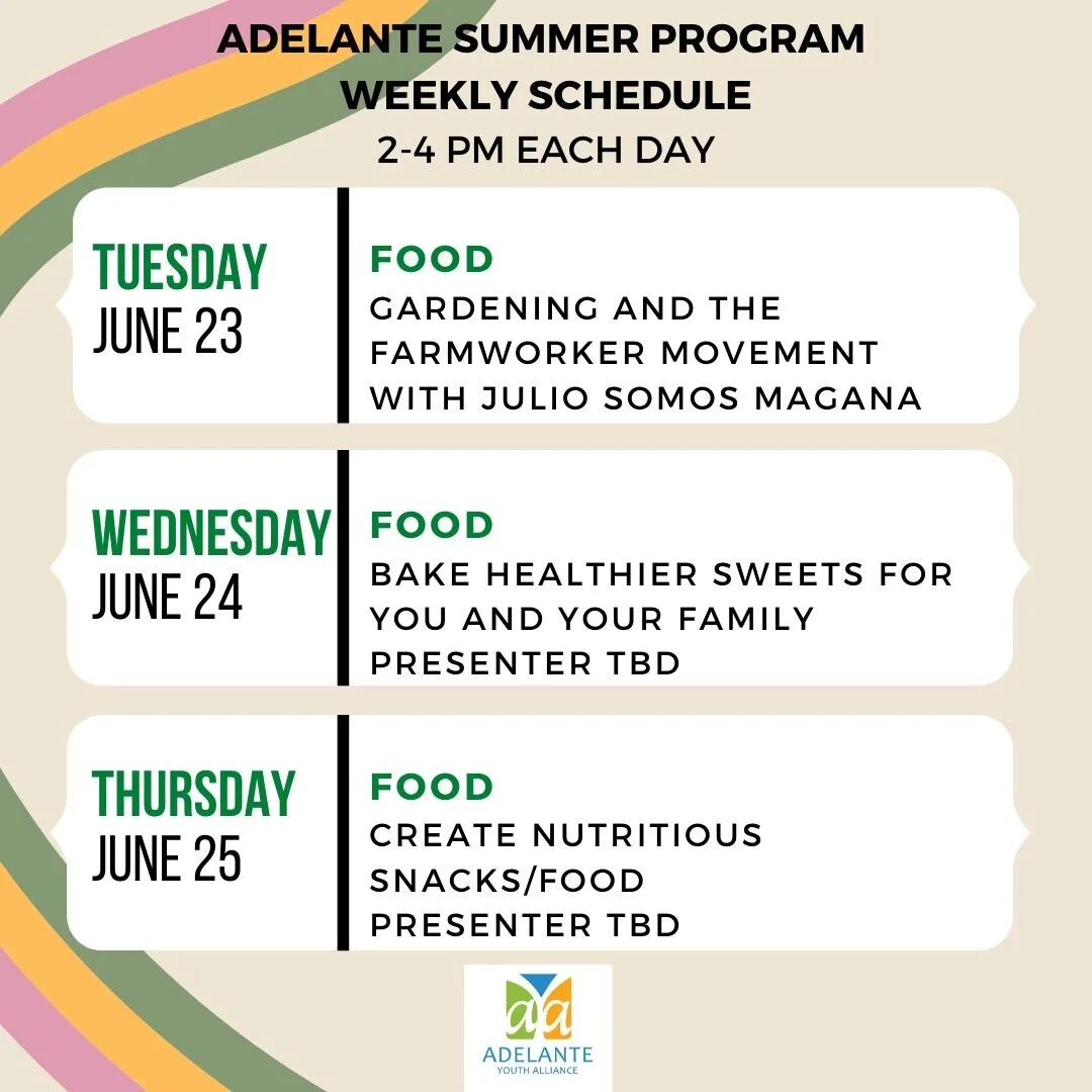 Summer Program — Adelante Youth Alliance