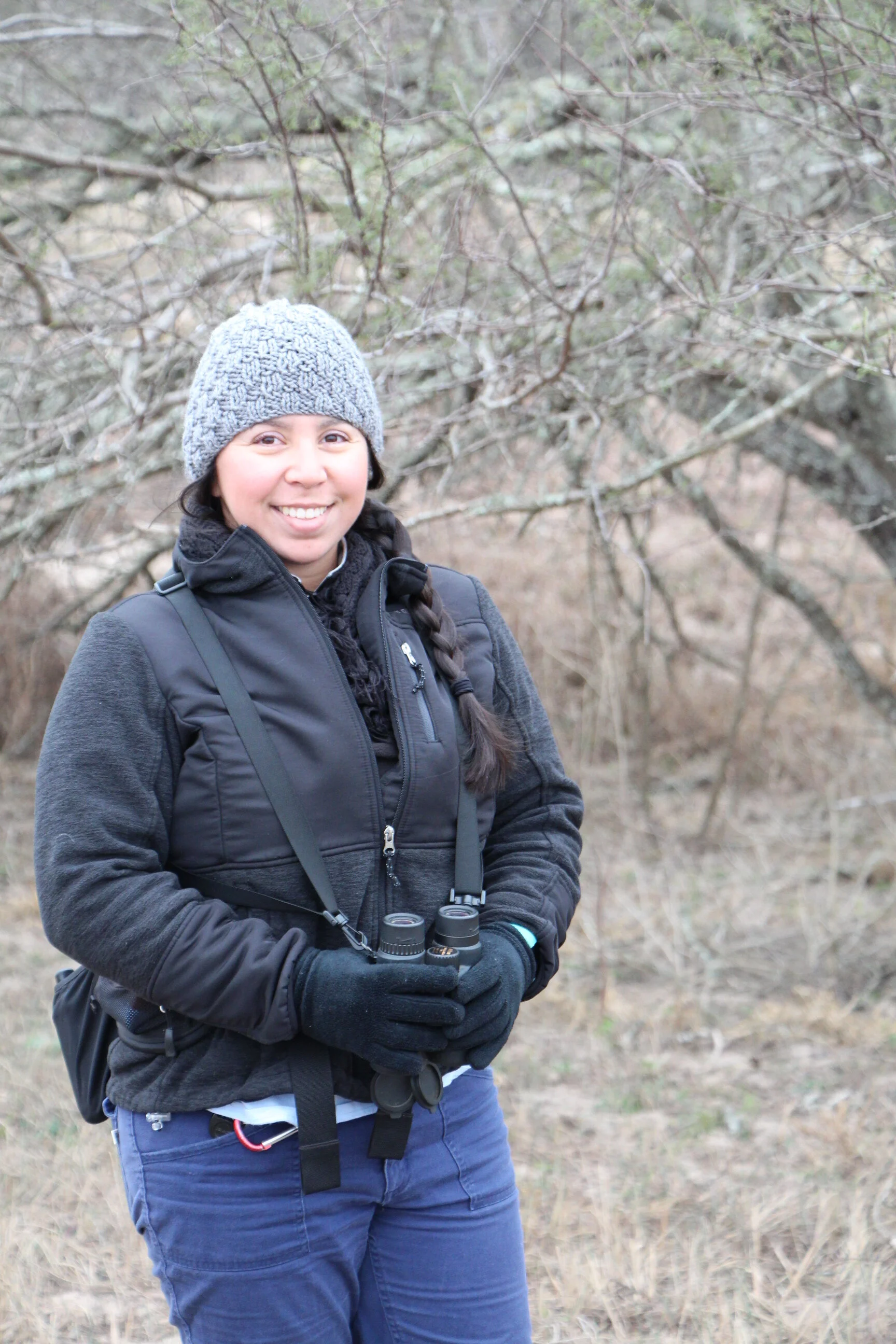 So, you love animals? Let's explore animal-related college paths and careers