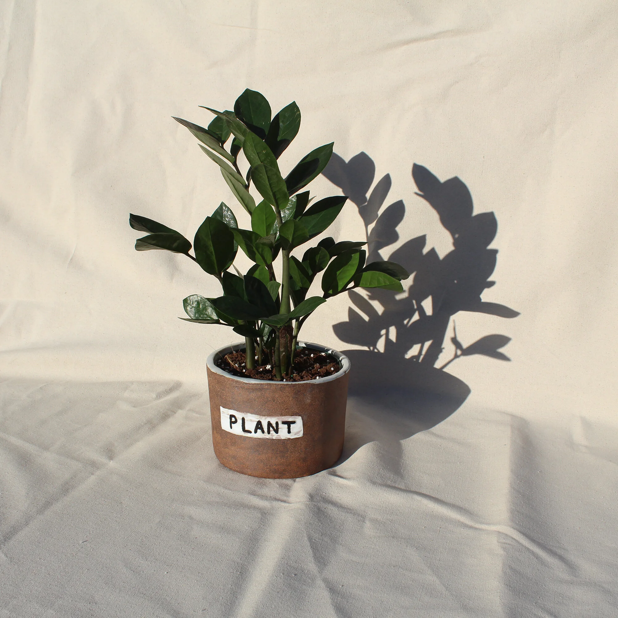 Huge "Plant" Planter