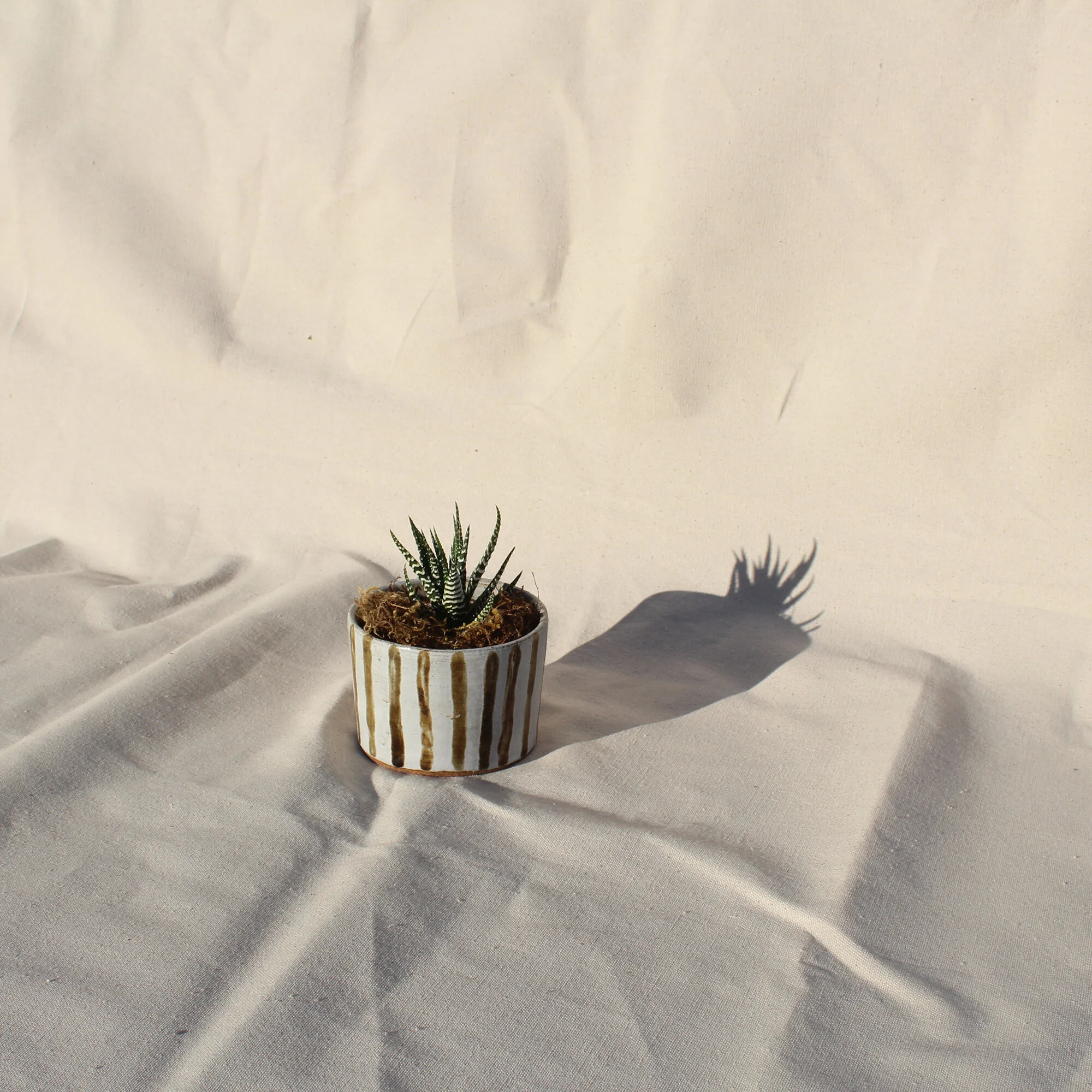 Striped Planter
