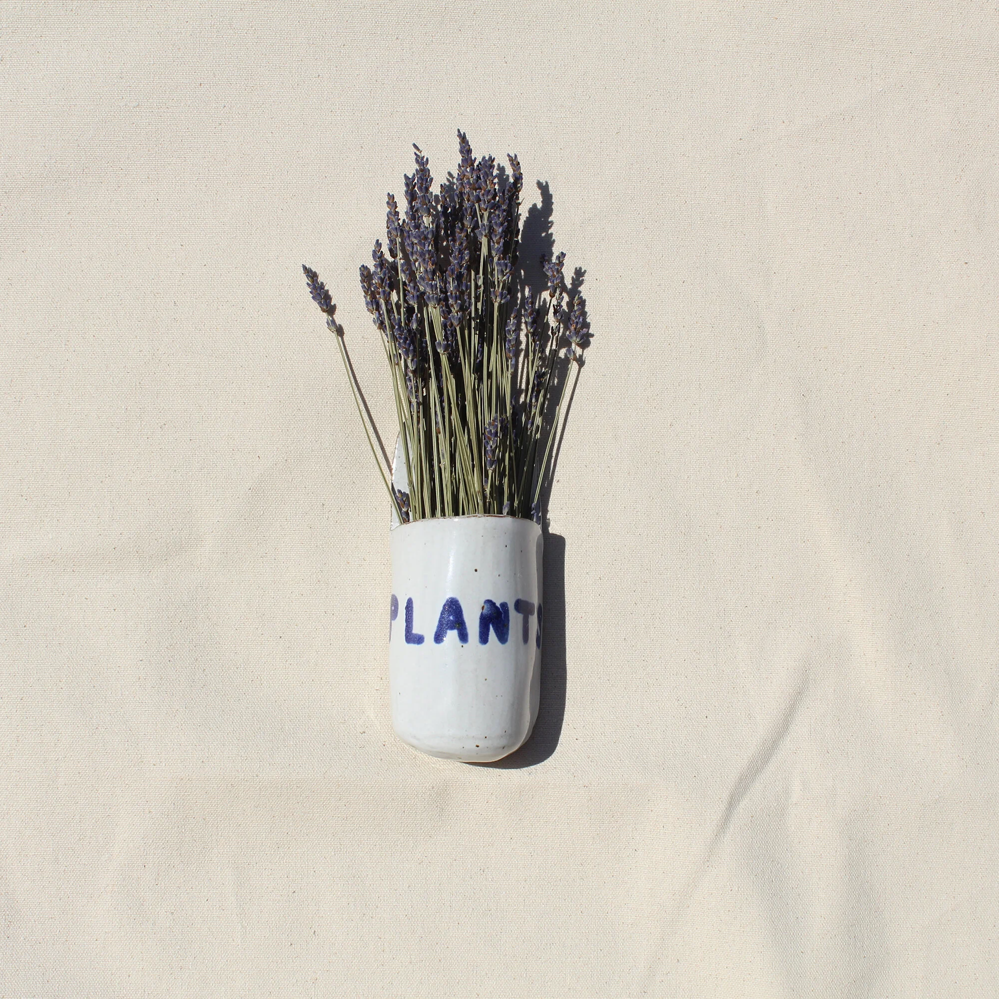 Wall Planter - Medium