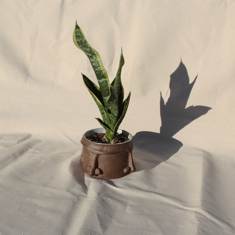 Face Pot
