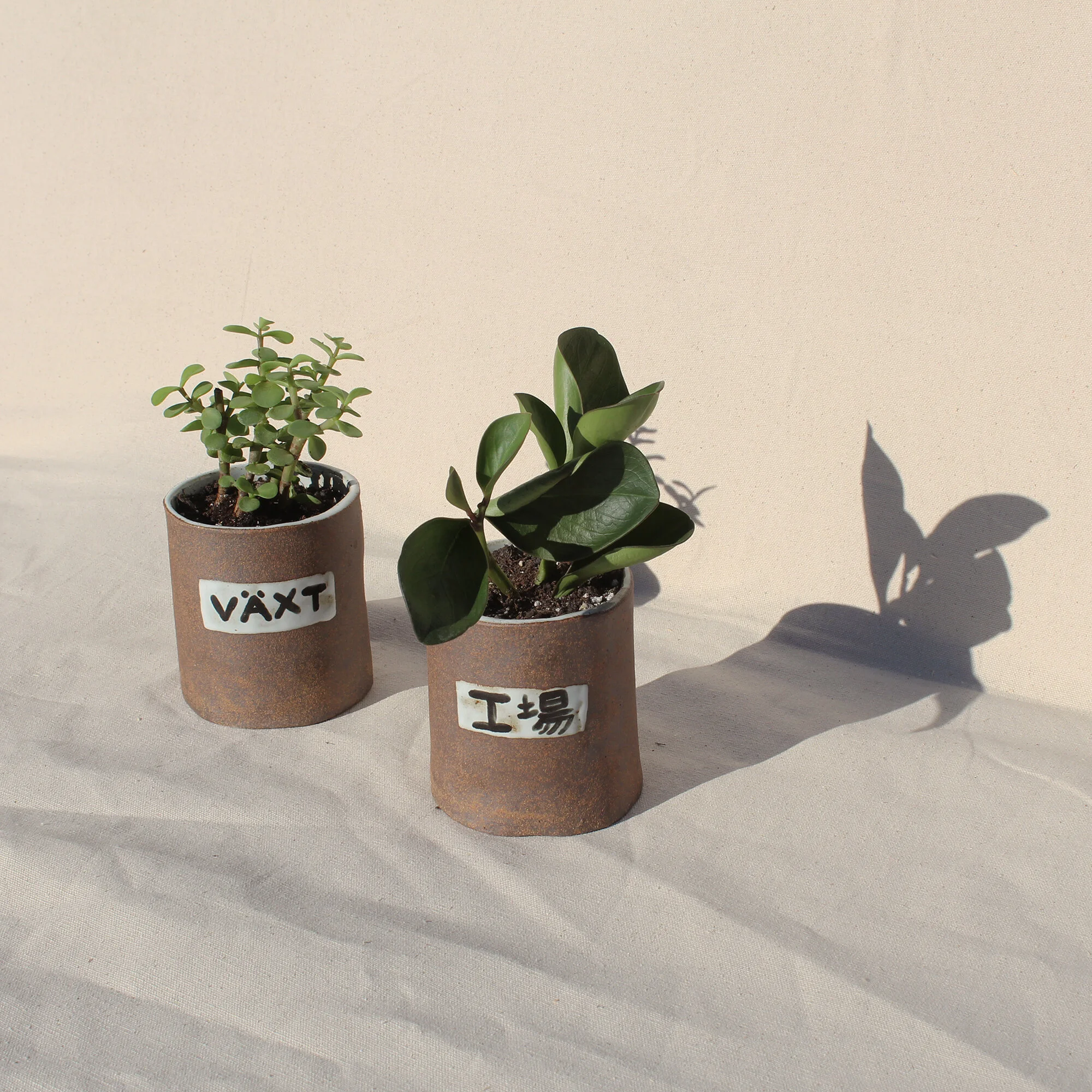 Custom Language Planters