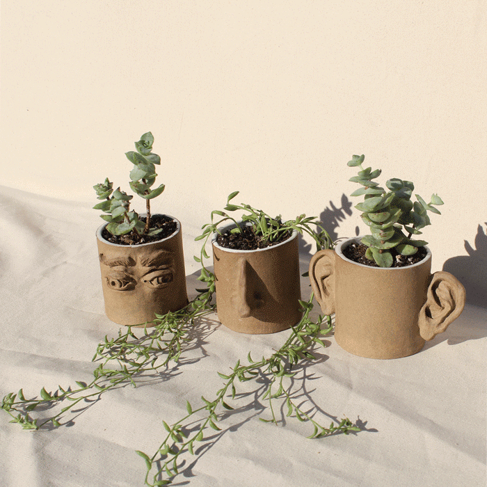 Pot Heads (Set of 3)
