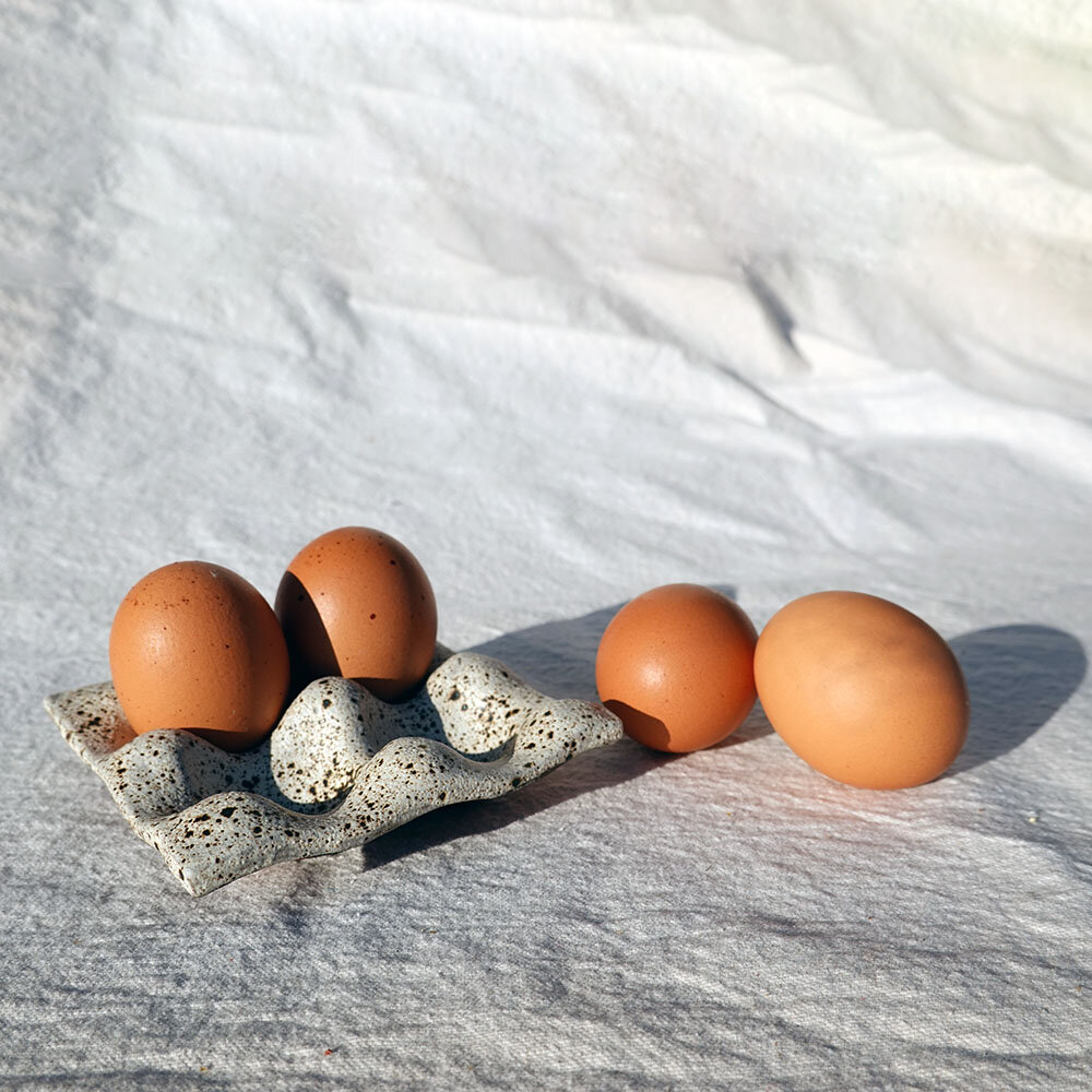 Egg Holder