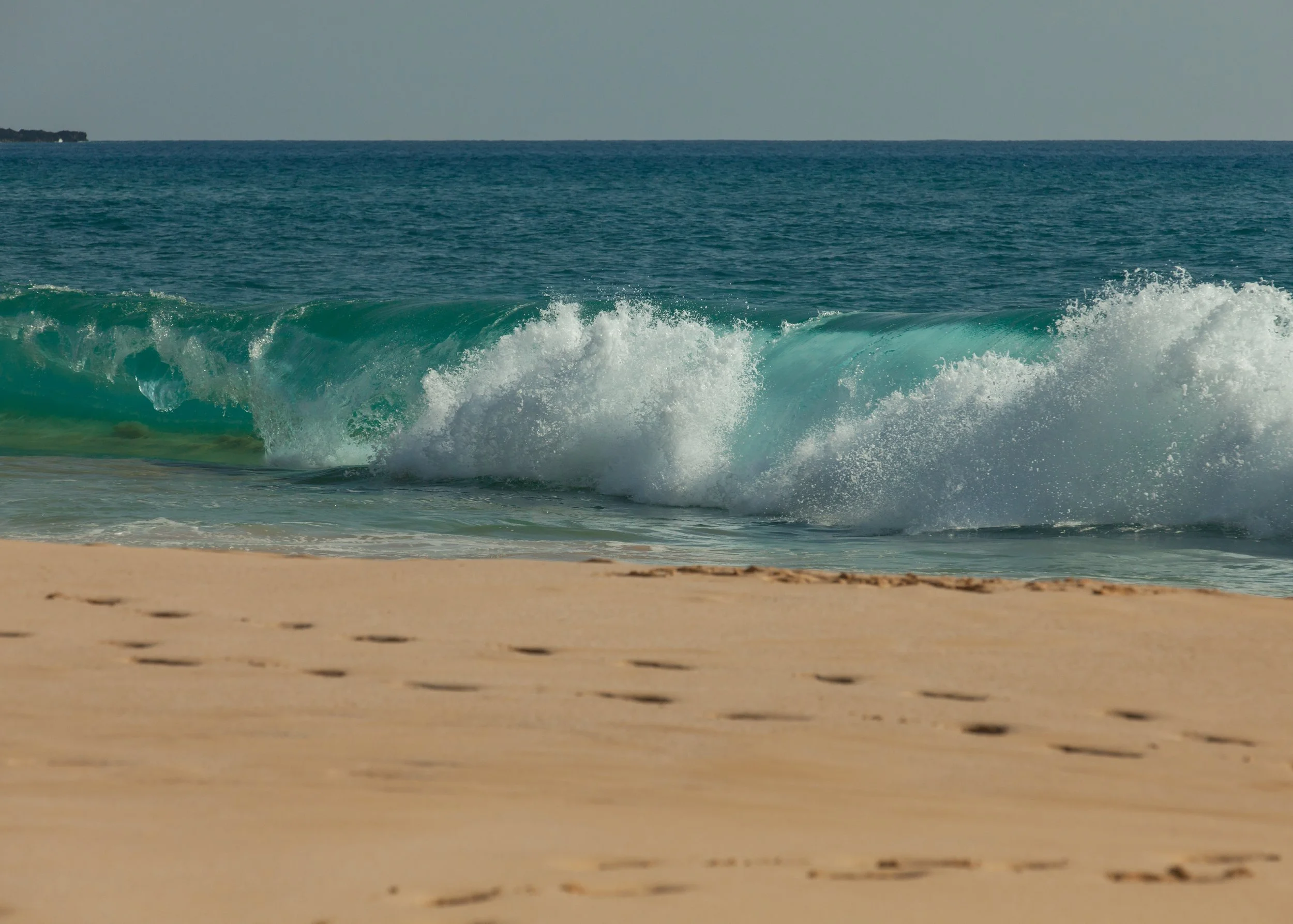 _MG_6935.jpg