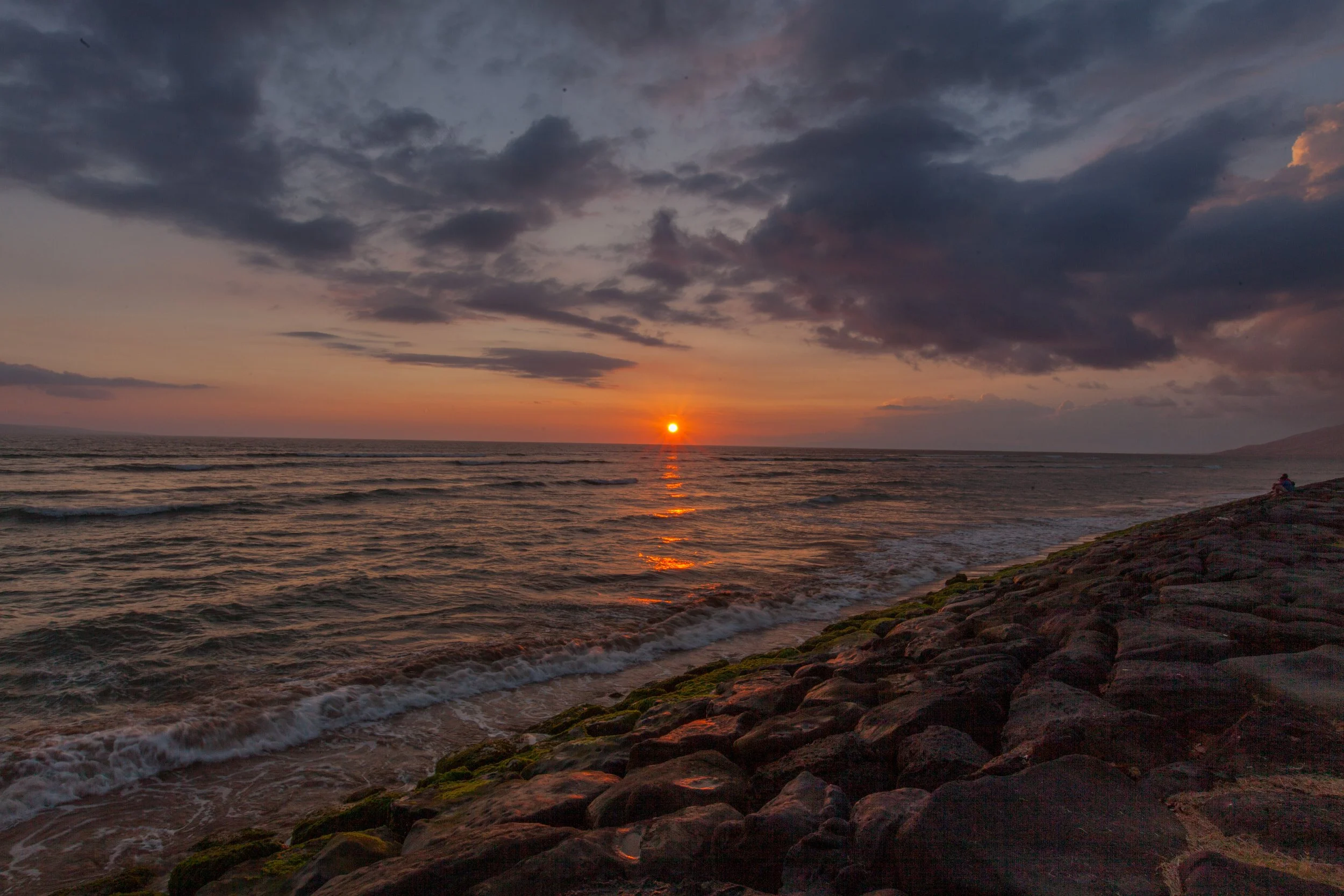 _MG_7026.jpg