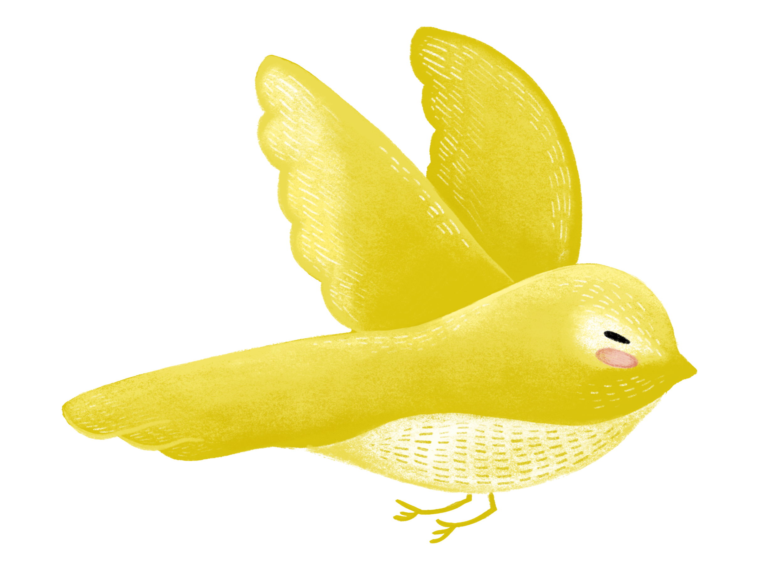 Bird_03_FINAL.png