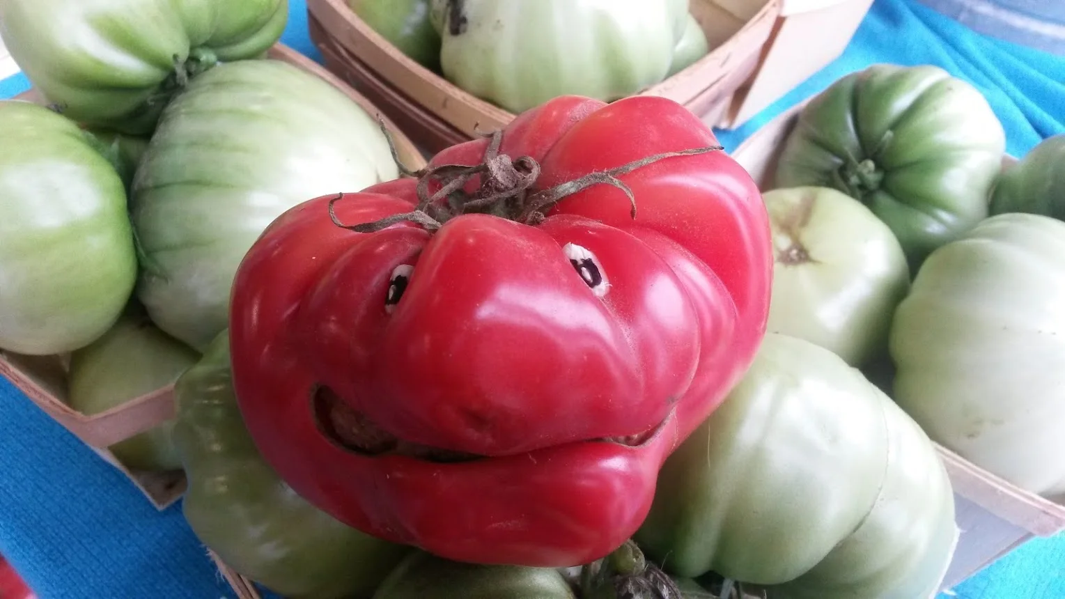 food friend 2.jpg