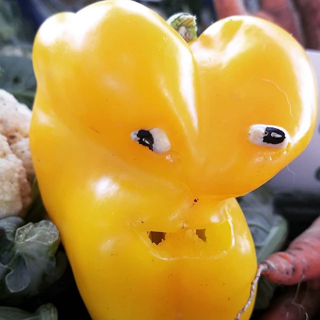 Heart shaped and sunshine yellow. #pepperfriend #freshfoodfriends #freshfoodisfun