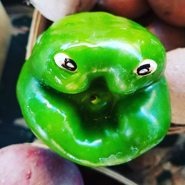 What a cute pepper friend! #freshfoodfriends #freshfoodisfun