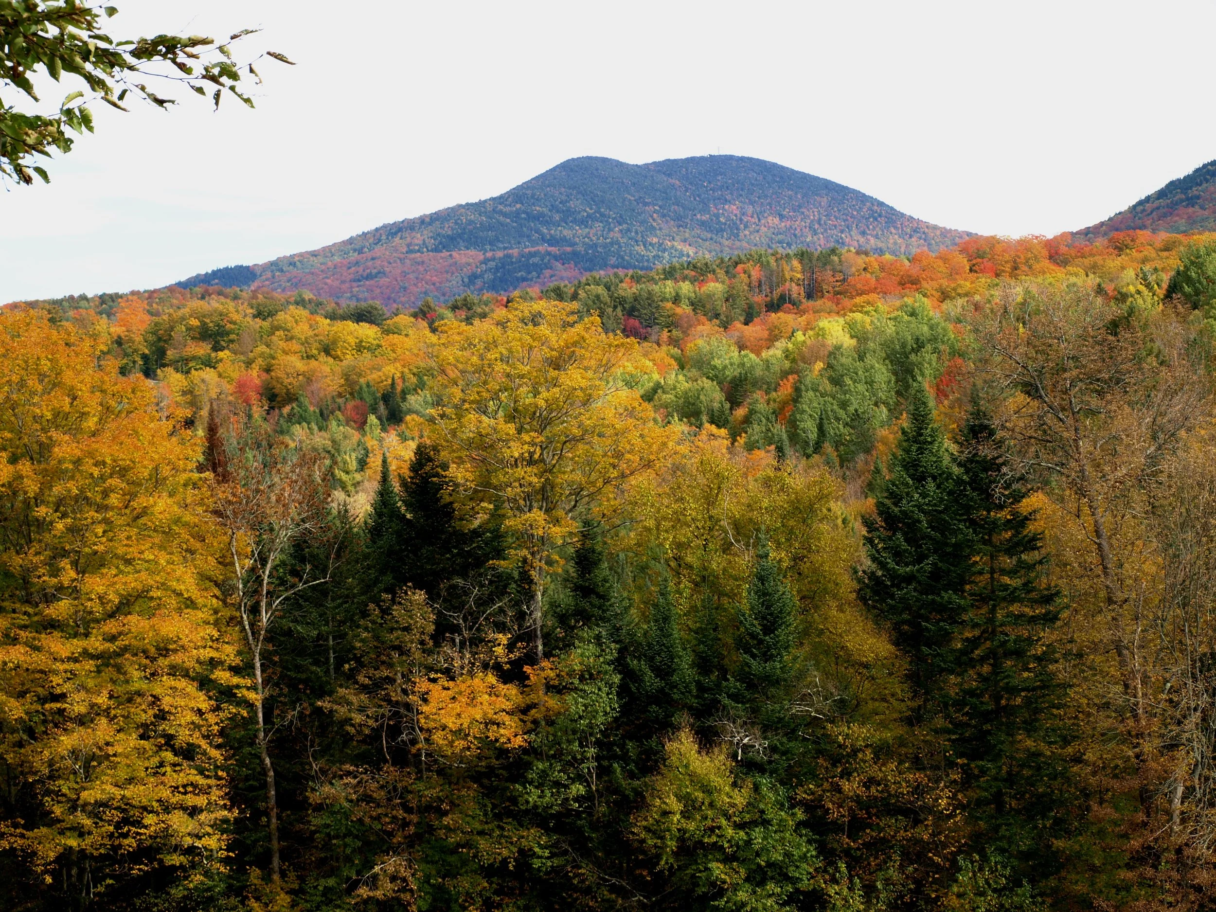 Dispatch from the Northeast Kingdom, 2