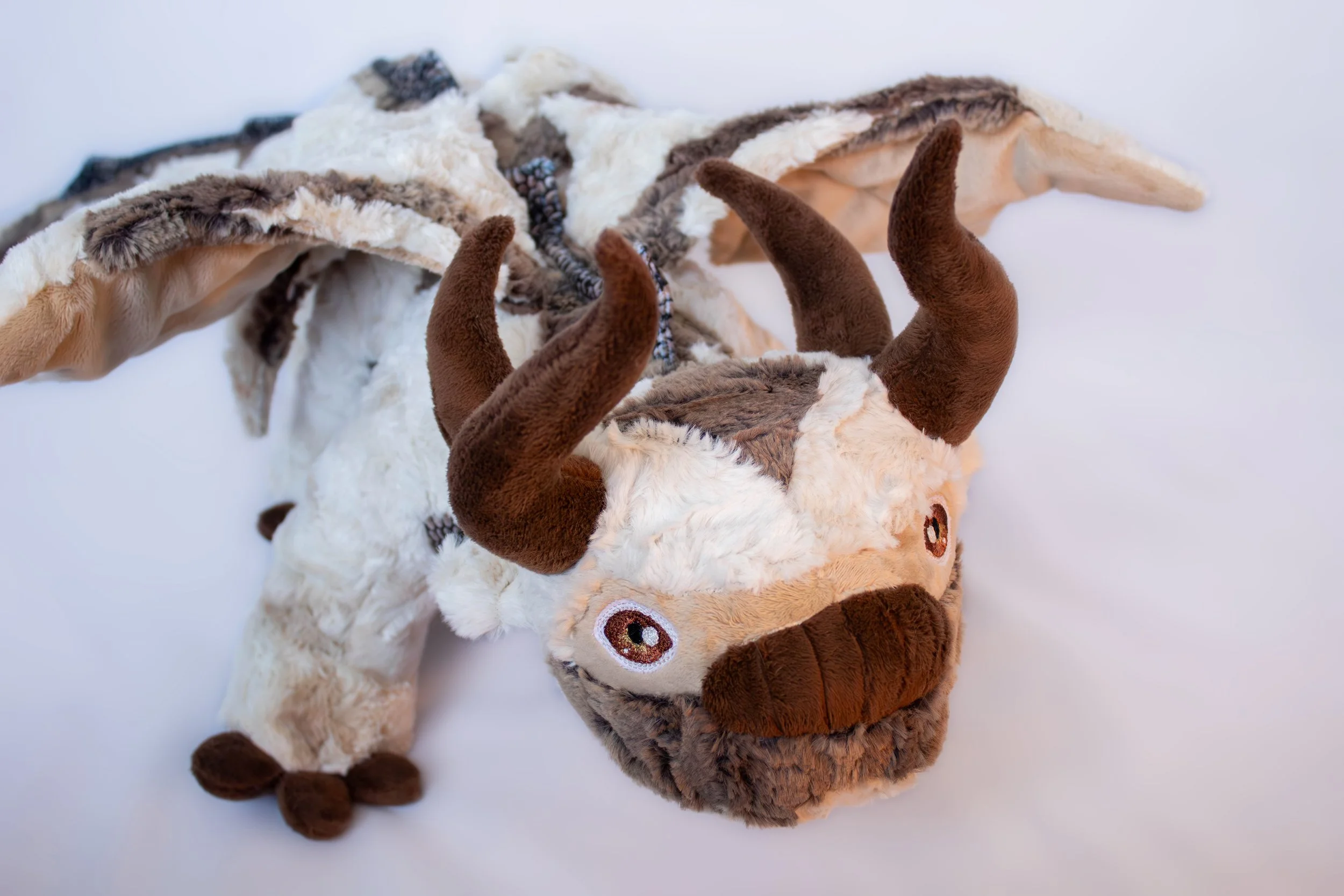 Appa (5 of 15).jpg