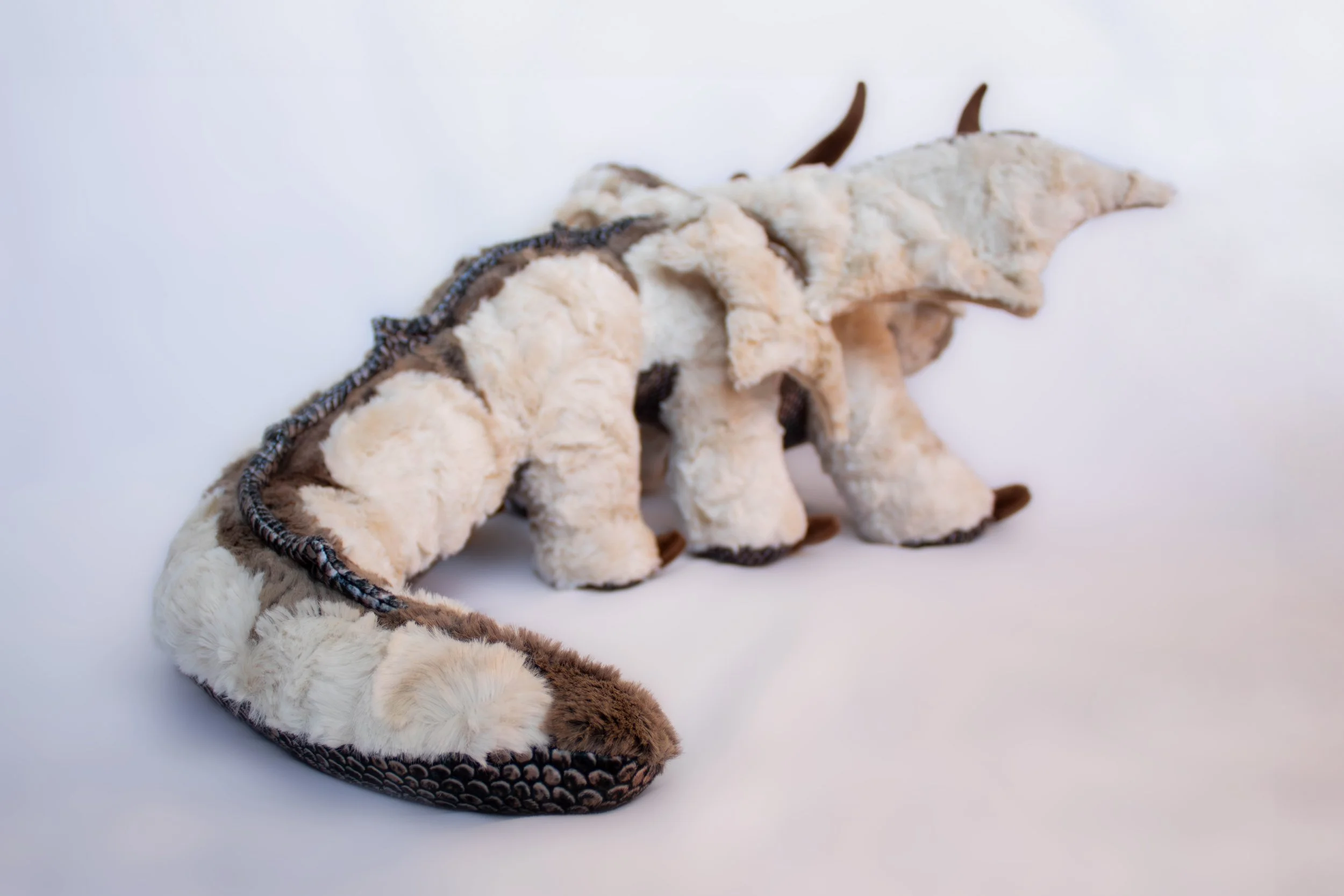 Appa (8 of 15).jpg