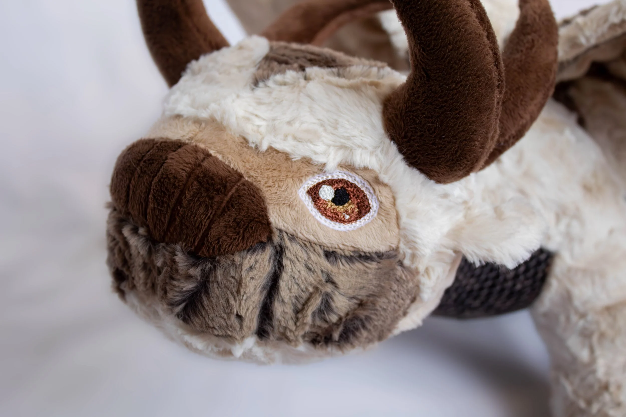 Appa (14 of 15).jpg