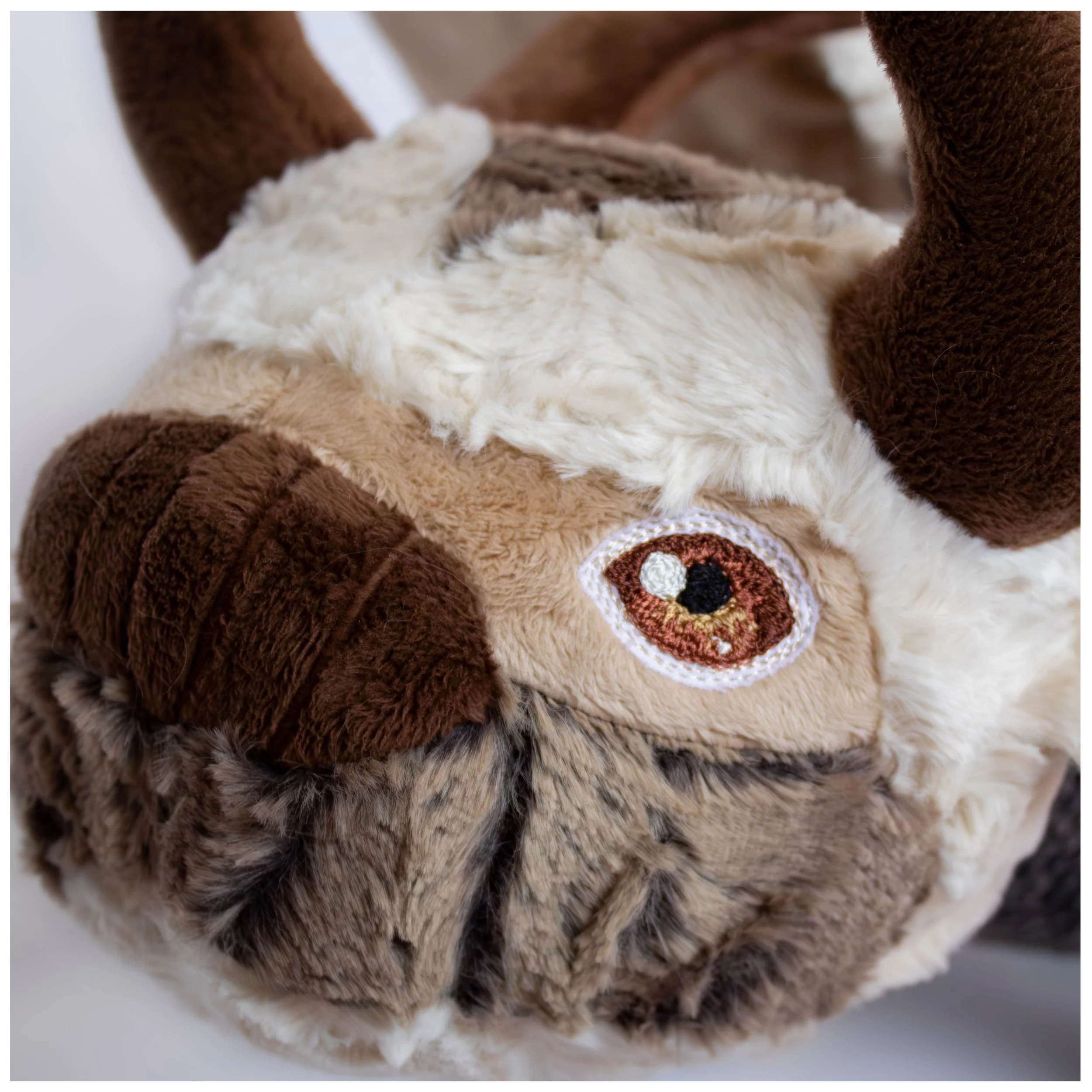 appa.jpg
