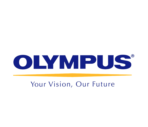 Screen Shot 2019-11-20 at 11.52.38 AM.png