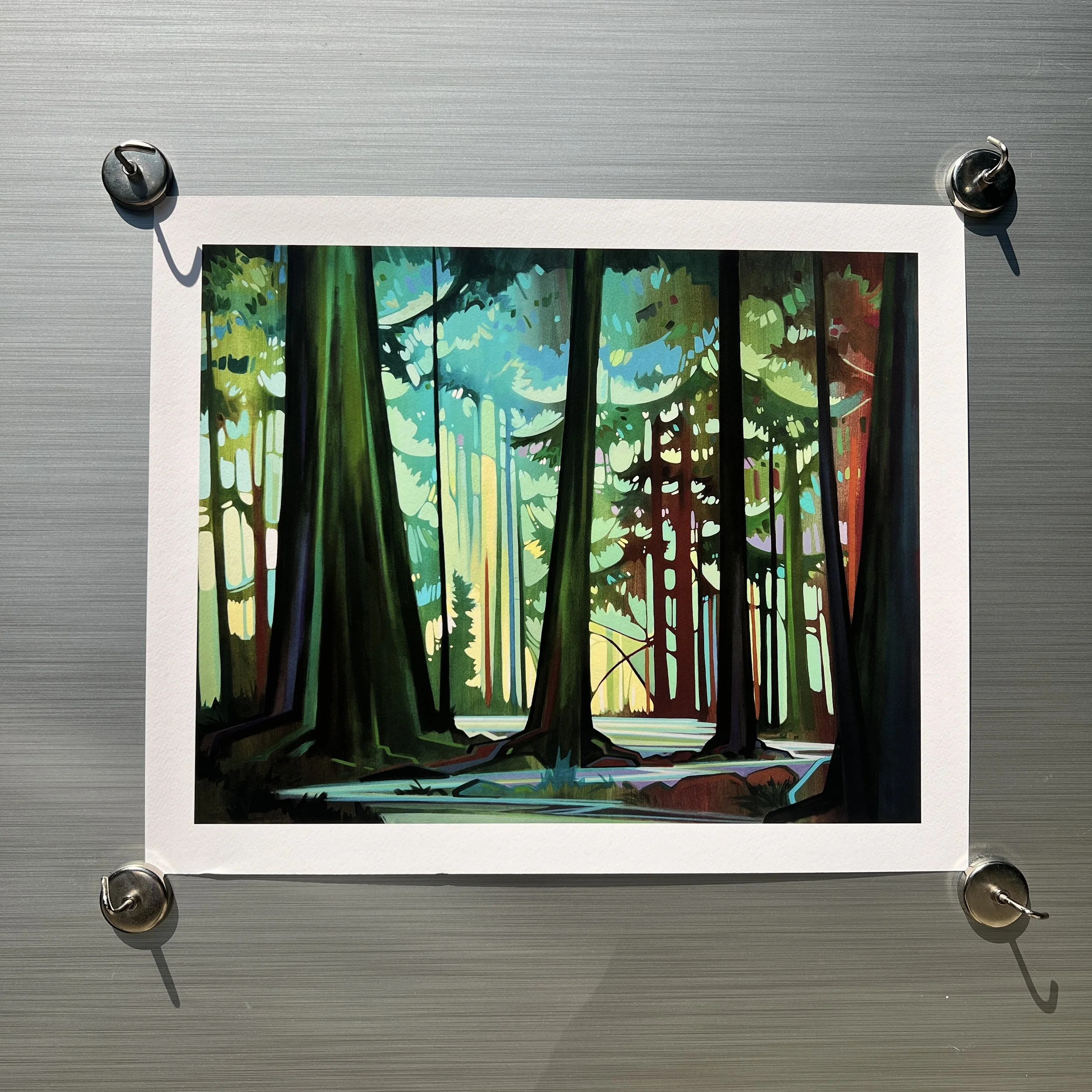 Old Growth - 12"x15" Paper Print - Second