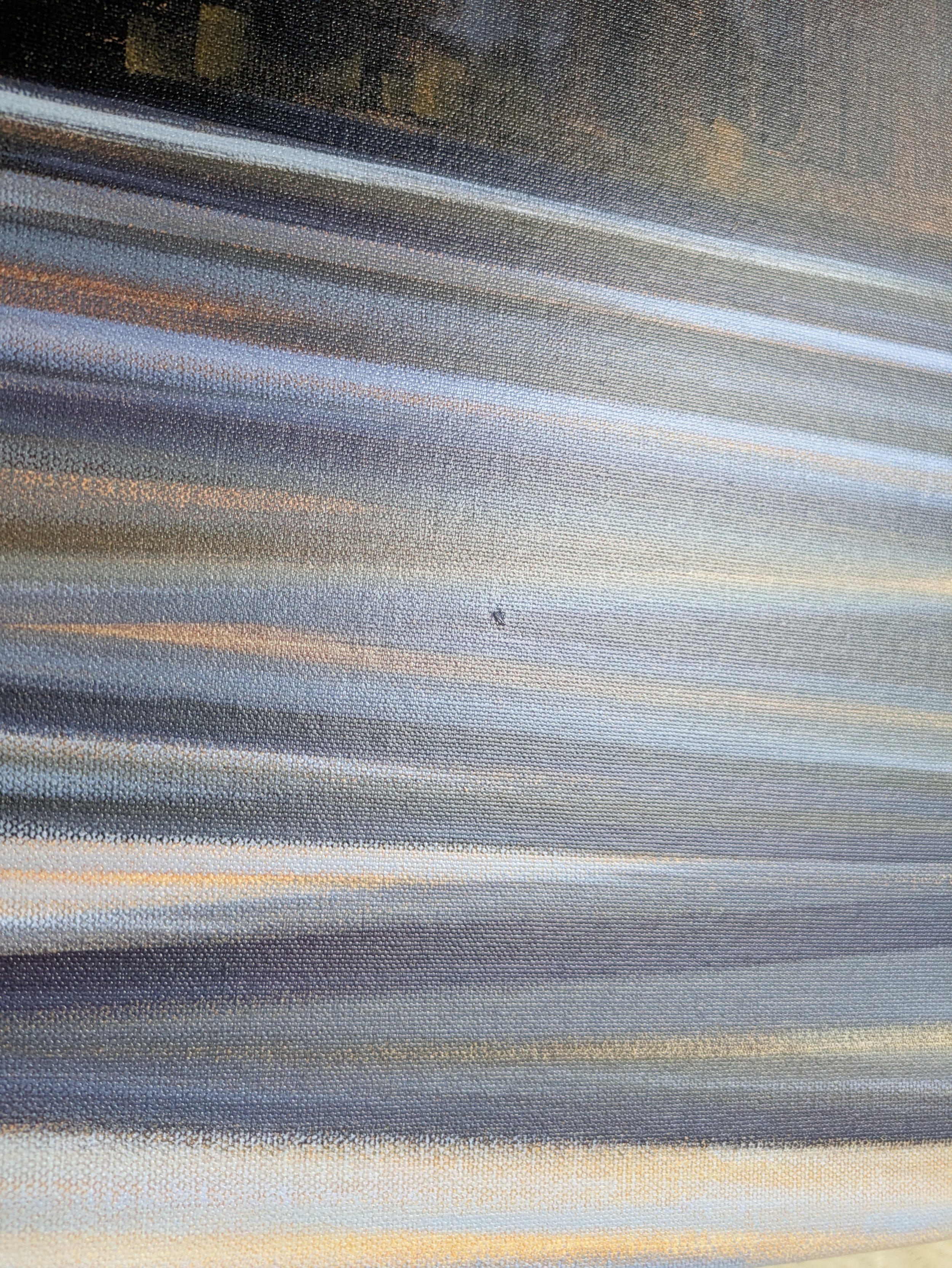 PXL_20250619_214849455.jpg