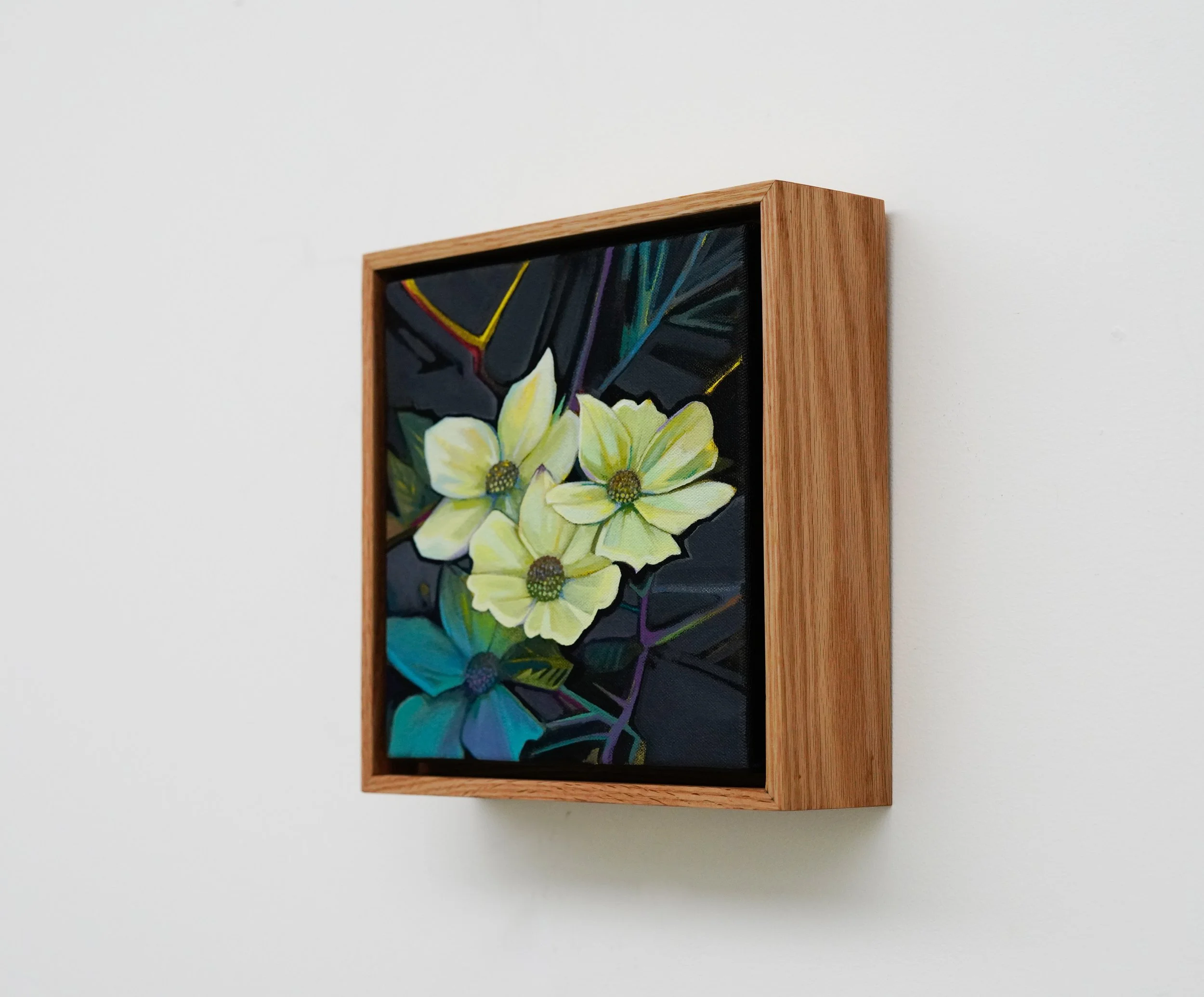 dogwood-2.jpg