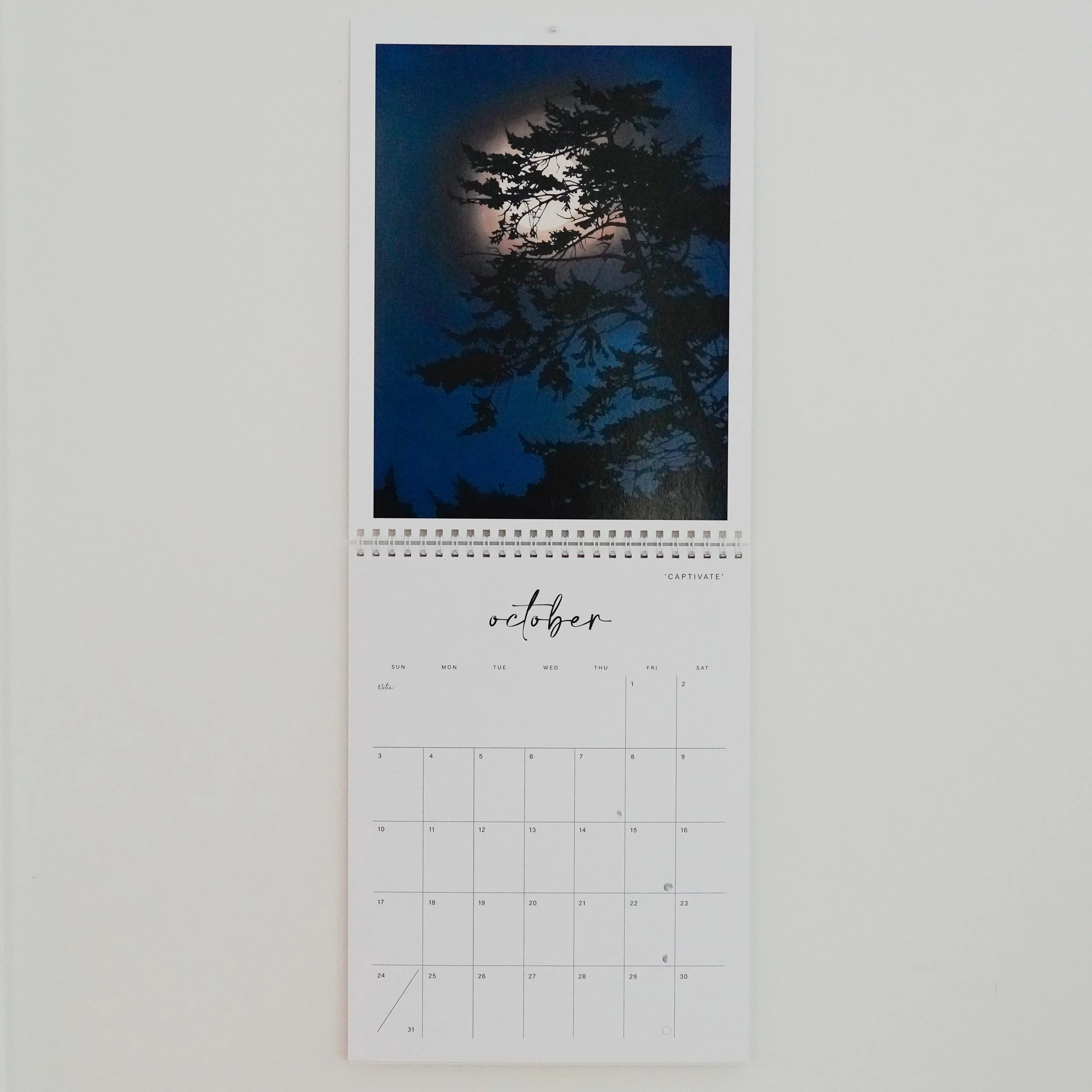 calendar2-4.jpg