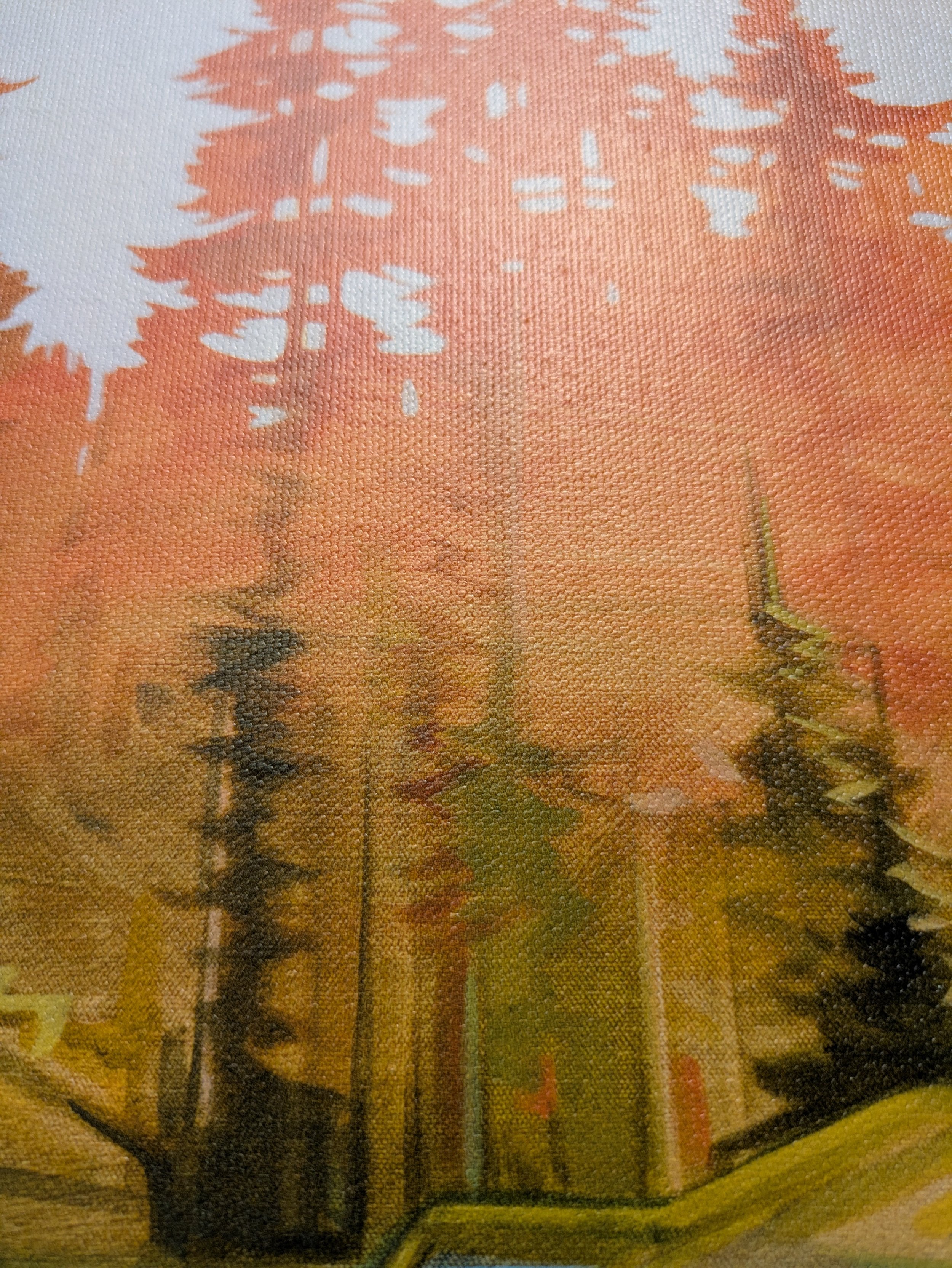 PXL_20250619_211854532.jpg