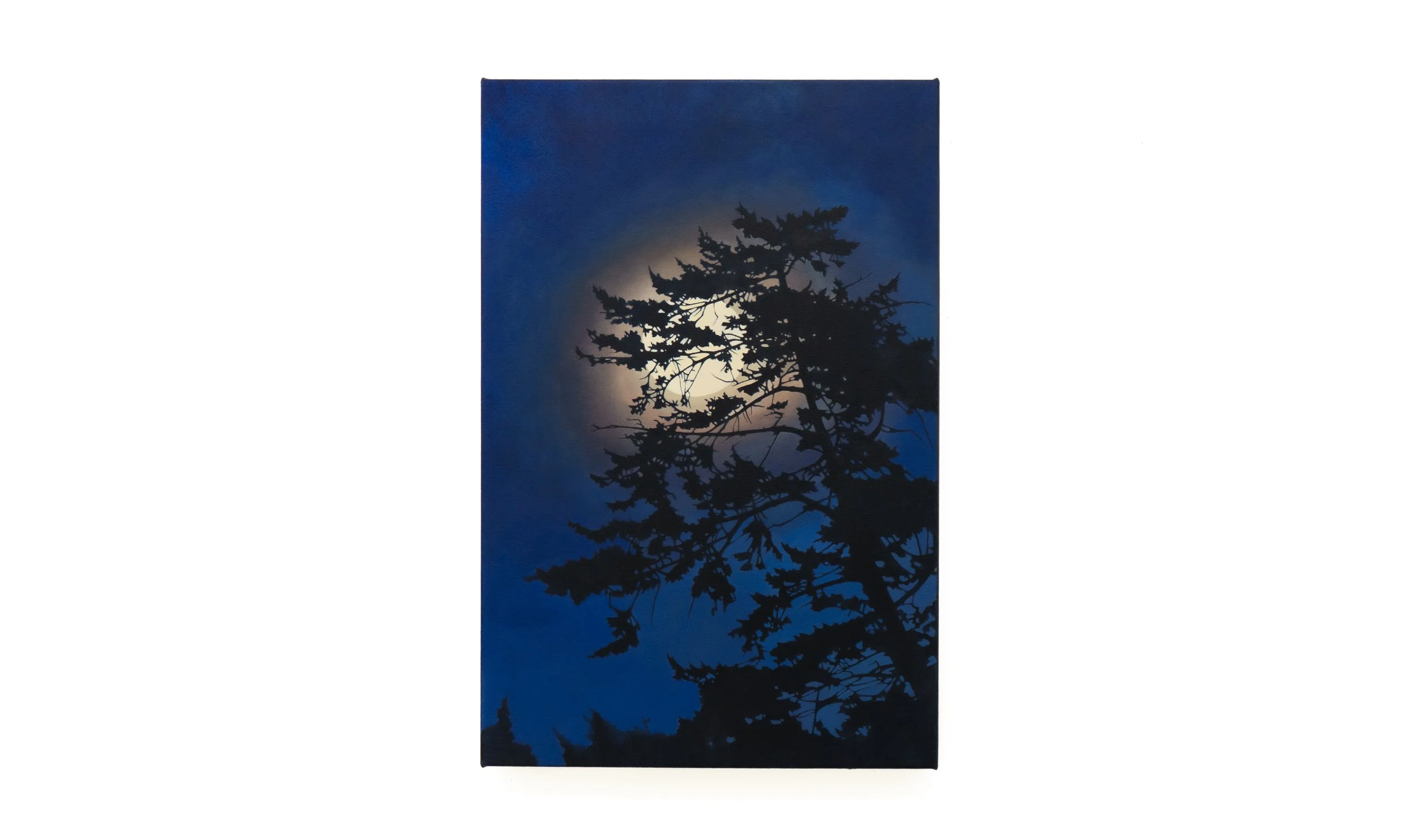 Captivate | 24x18