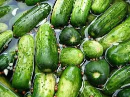 Pickle Man.jpeg