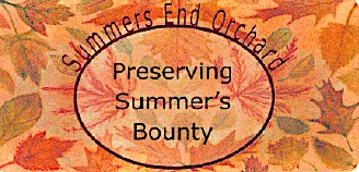 Summer's End.jpg