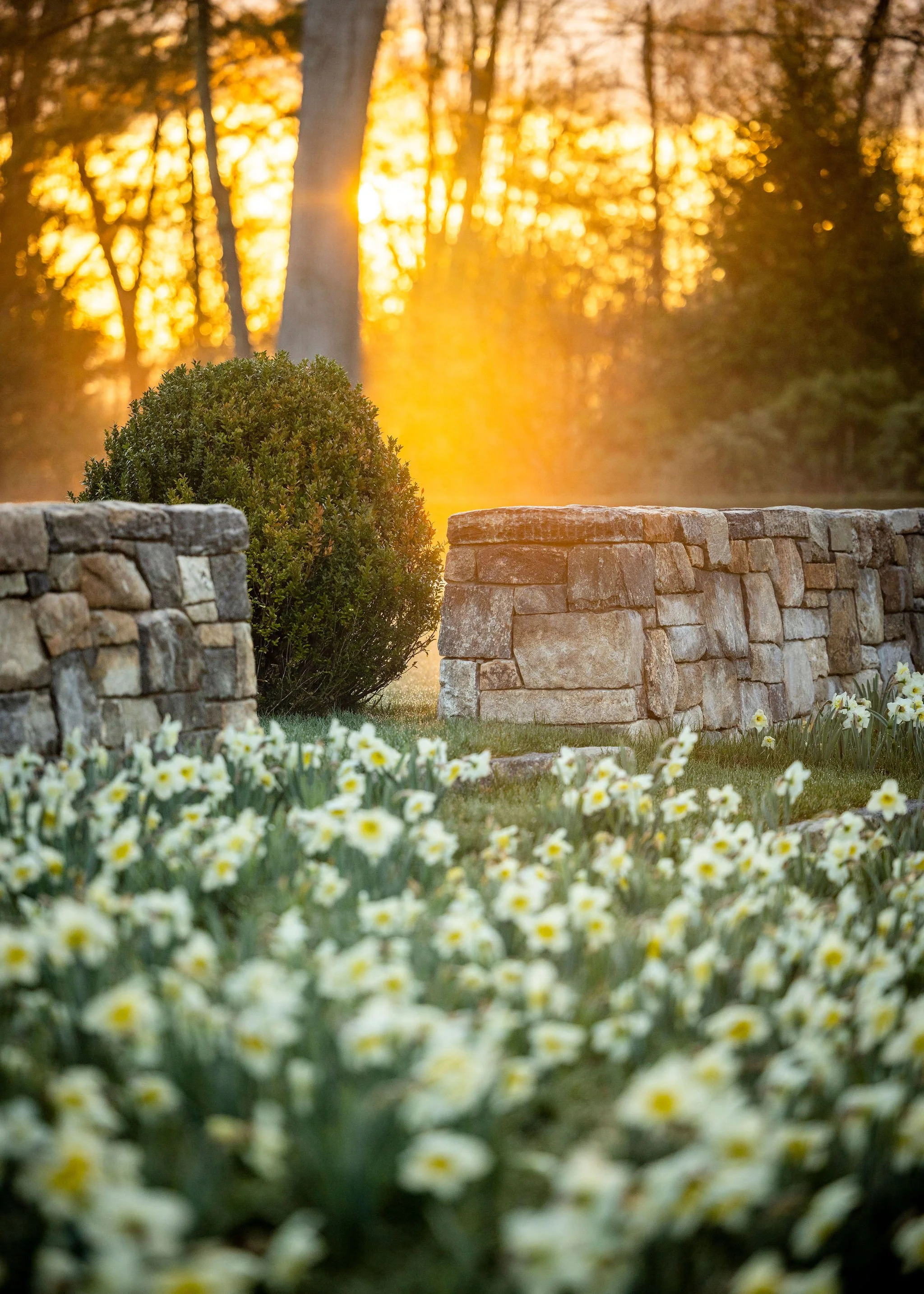 230418-DavisLex-Rucinski-1393-Edit.jpg