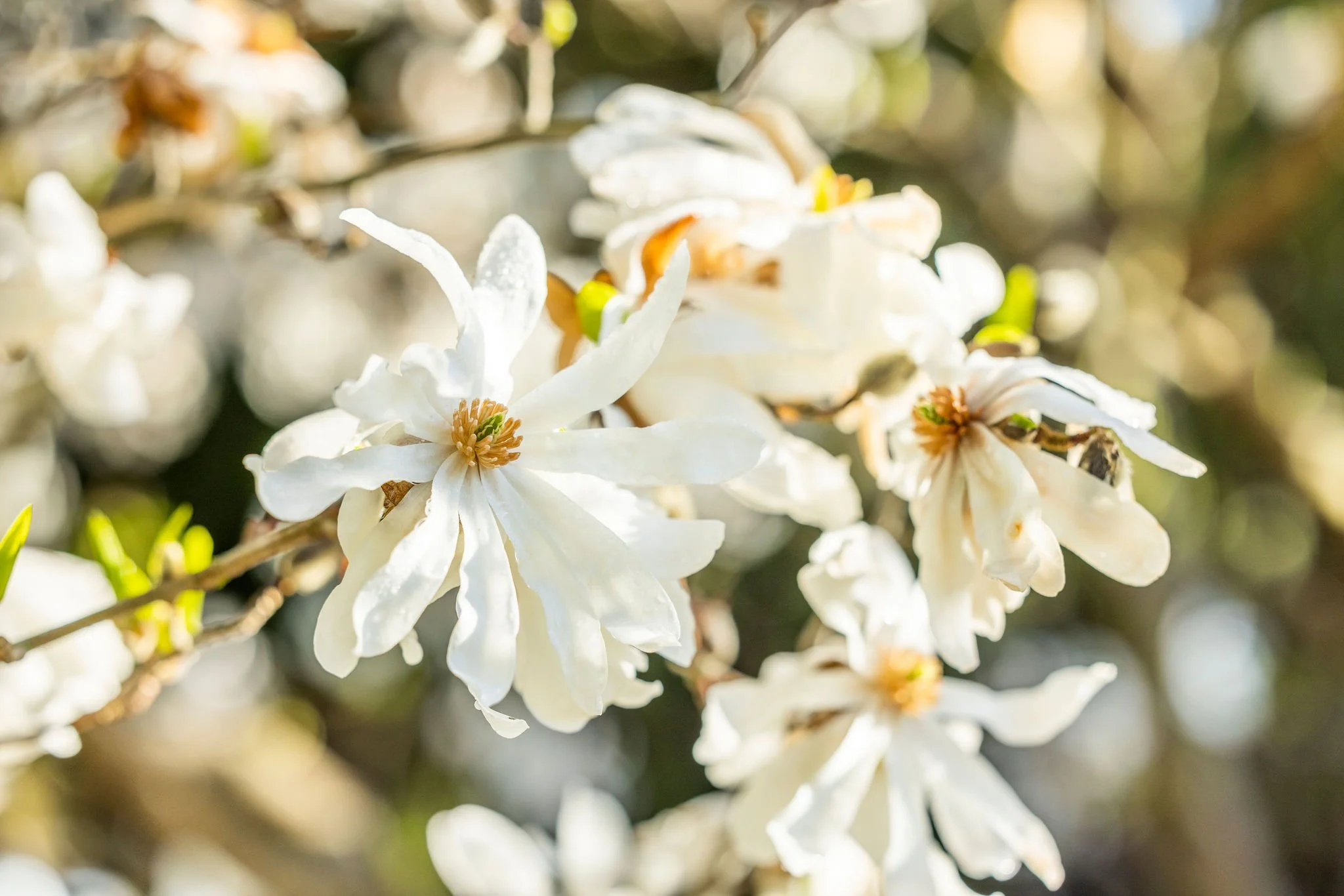 230418-DavisLex-Rucinski-1475-Edit.jpg