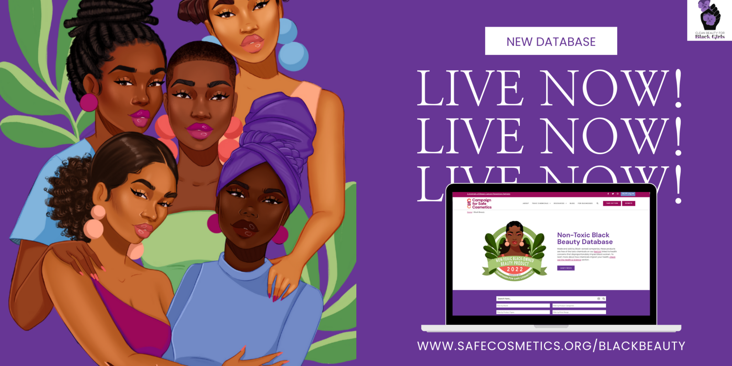 Black Beauty Database - Safe Cosmetics