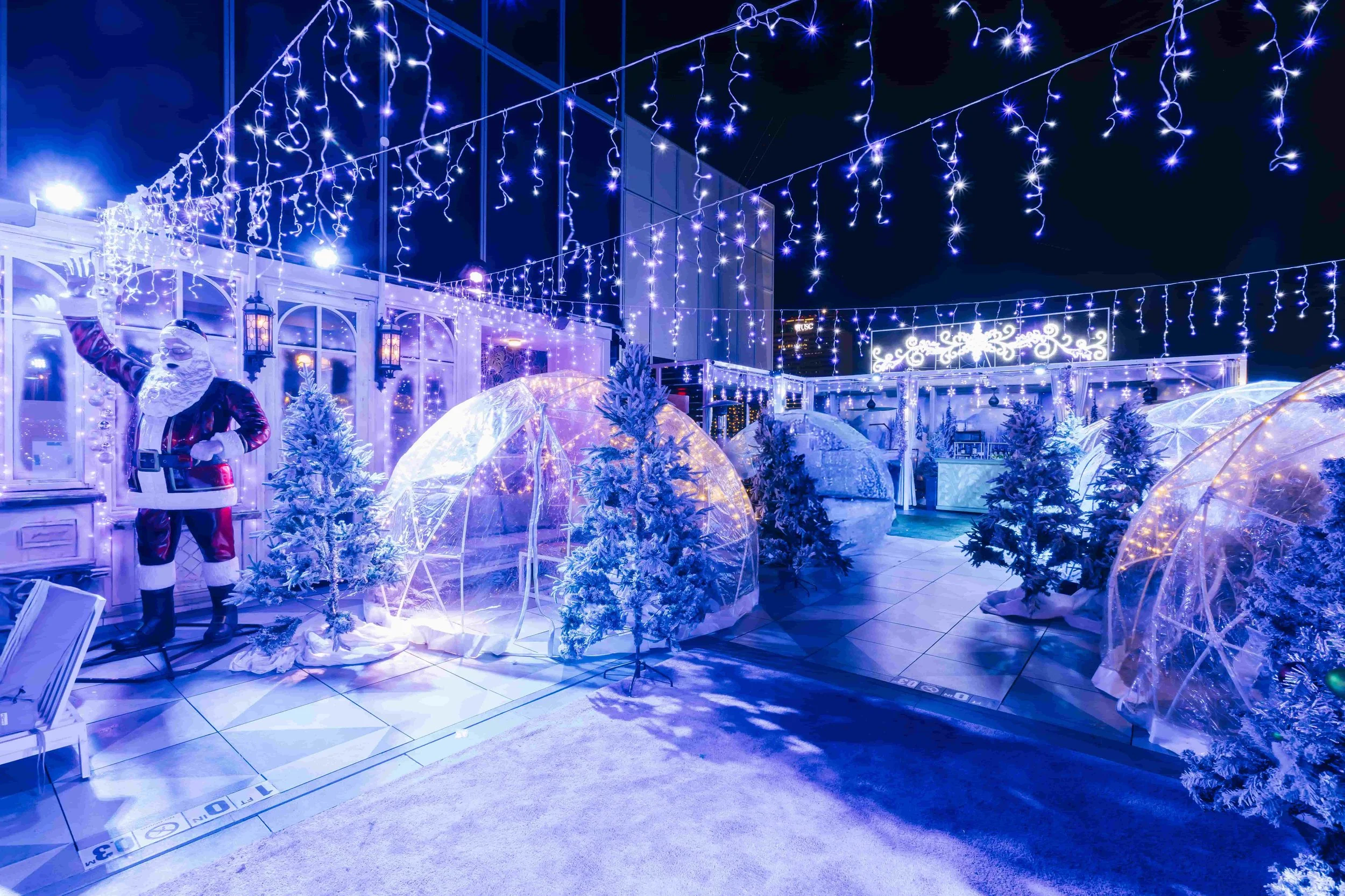 Level8_WinterWonderland-040.jpg