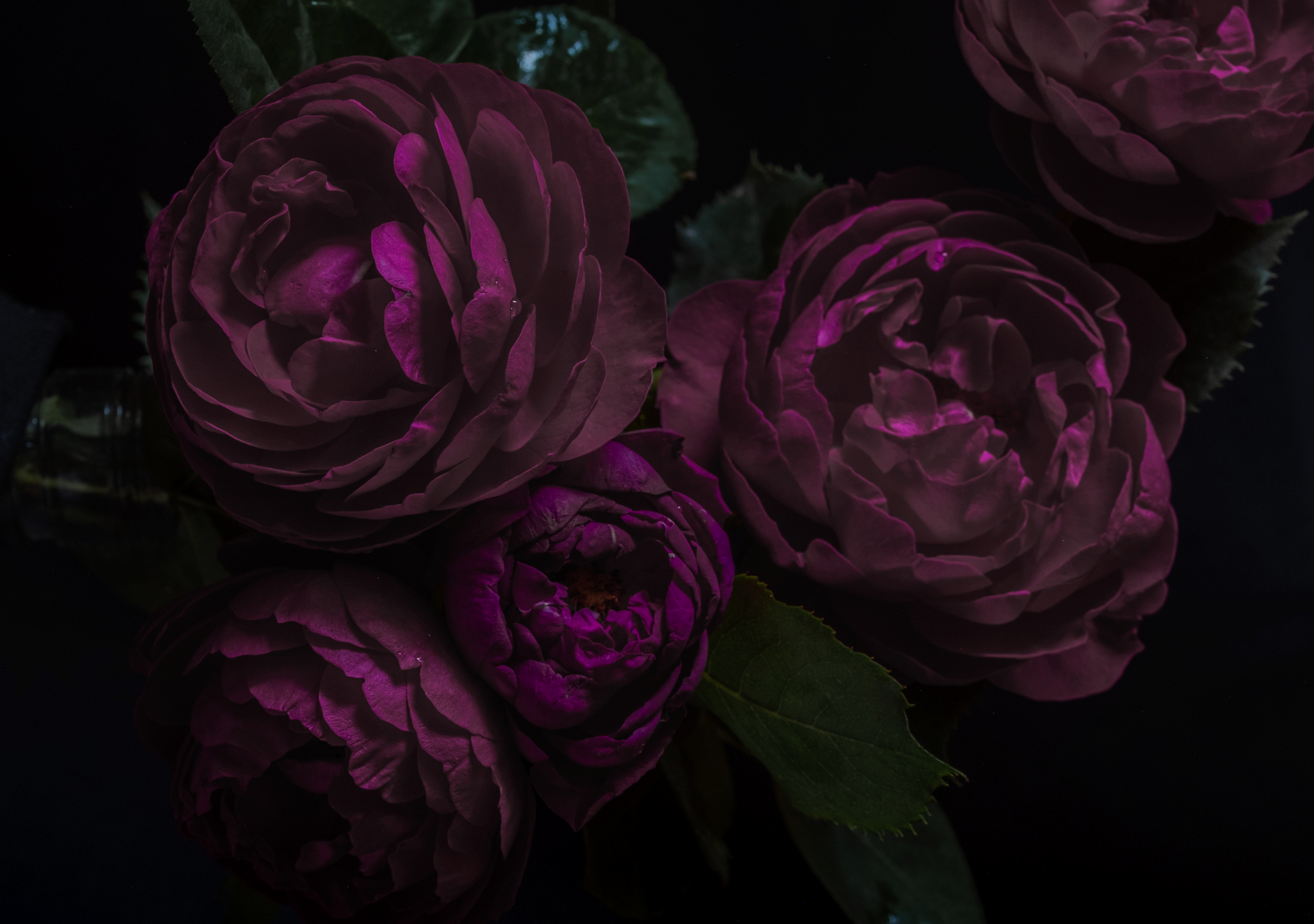 The Astrology of December ✧