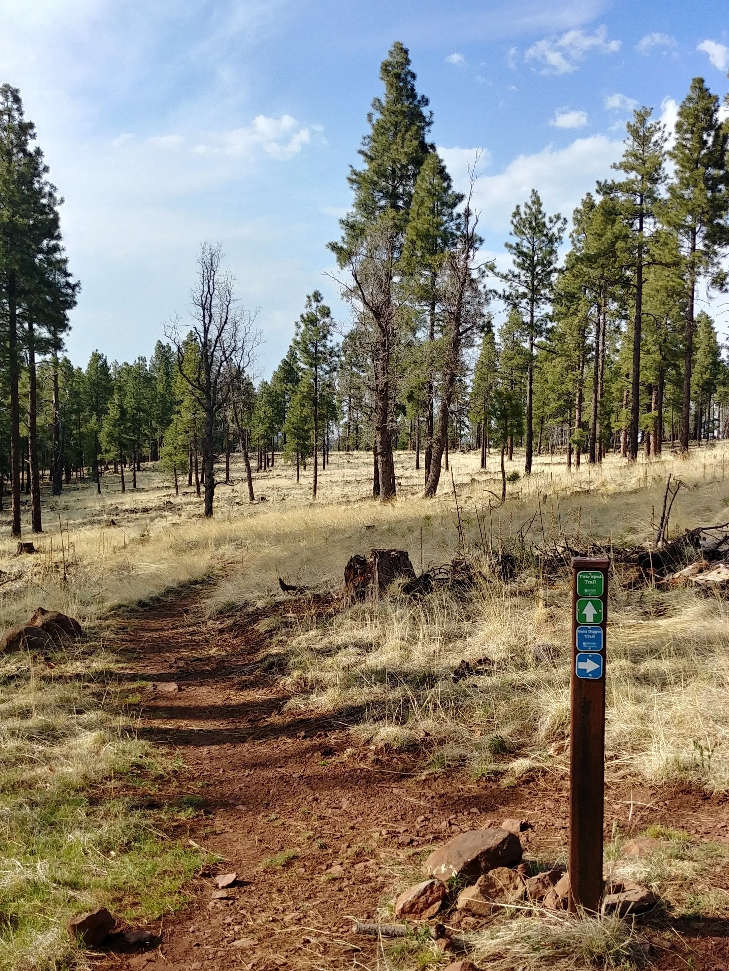 Hike the trails at Rogers Lake County Natural Area.
