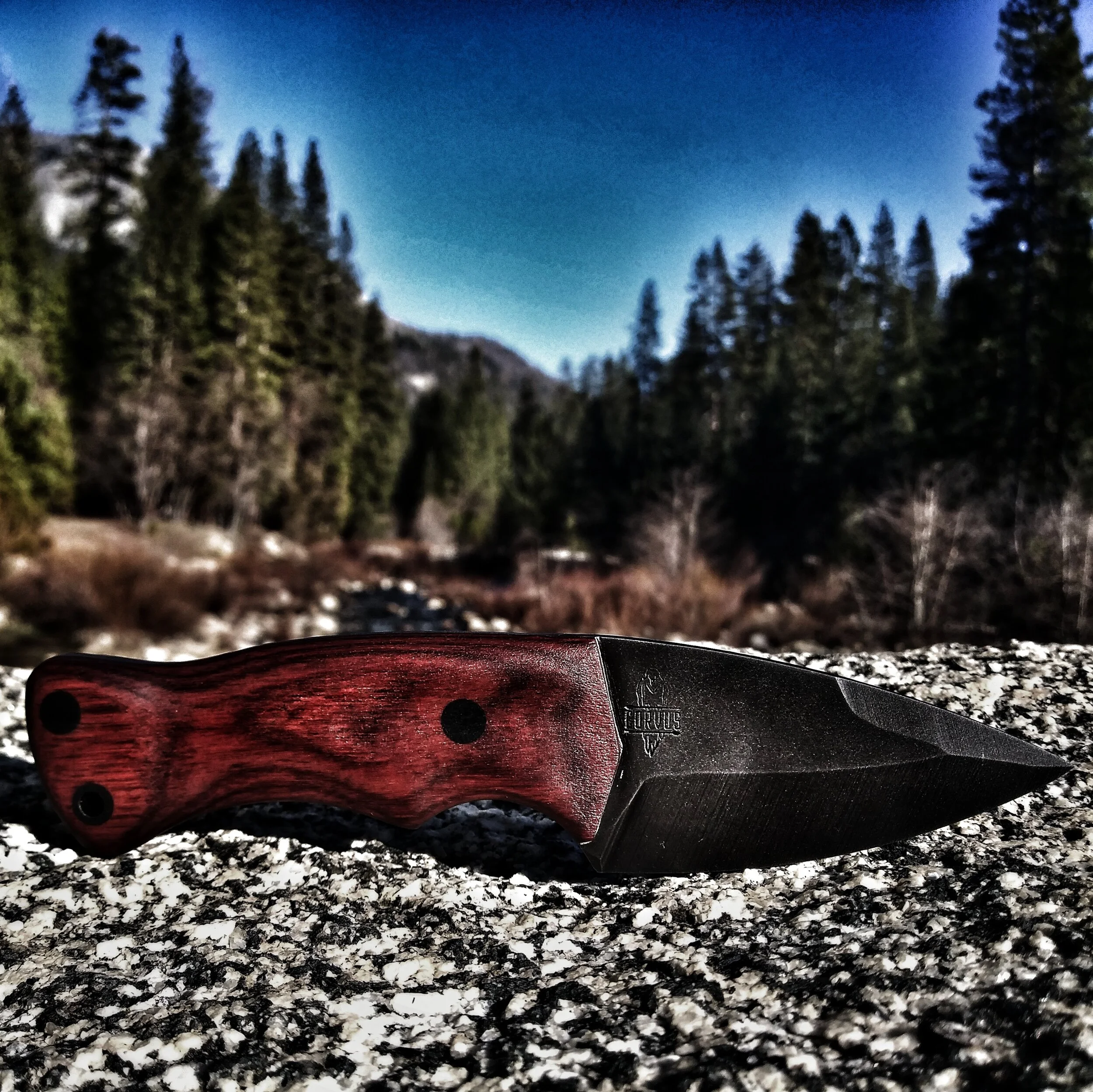 A knife laying on a rocky surface in front of a treeline.