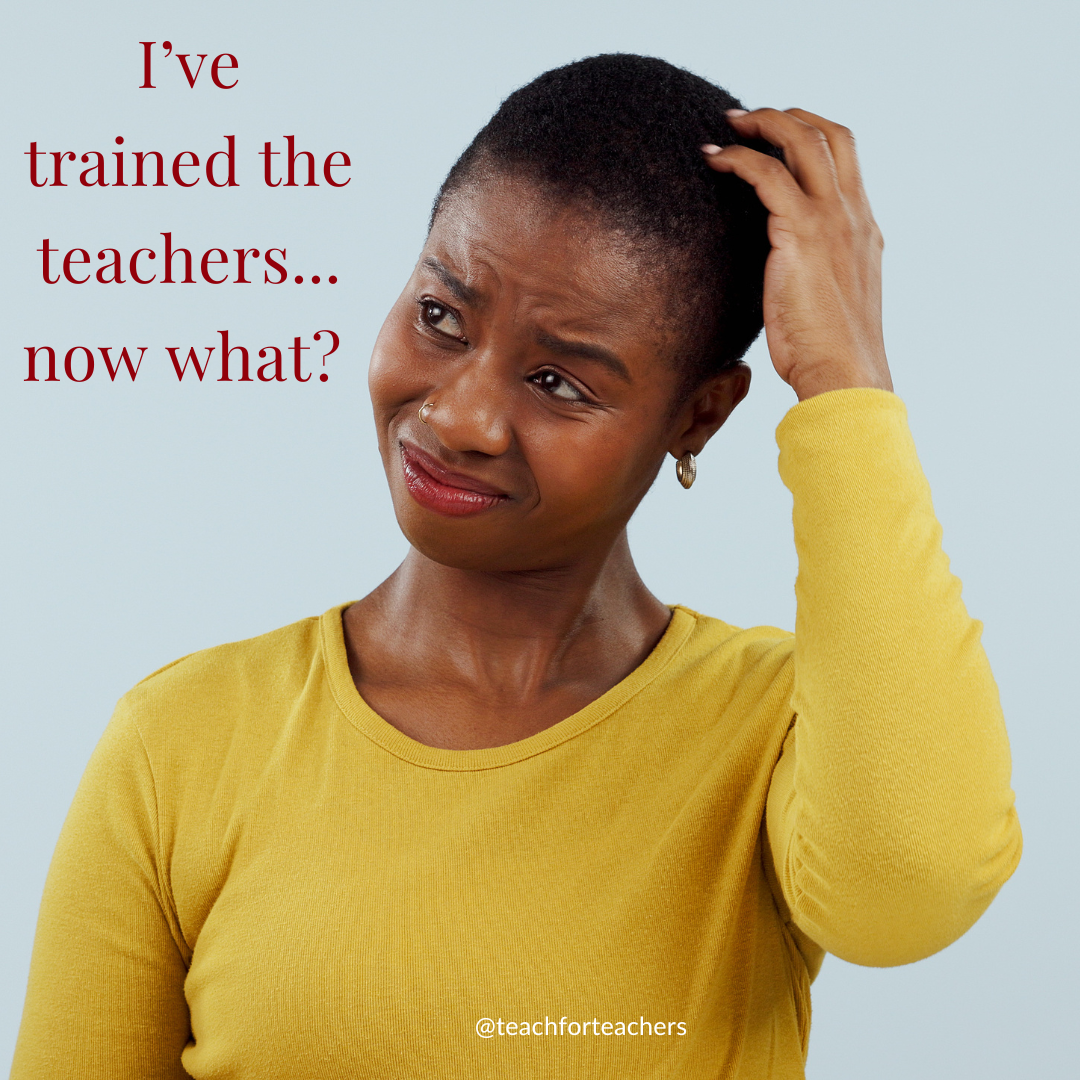 I've Trained the Teachers...Now What?!