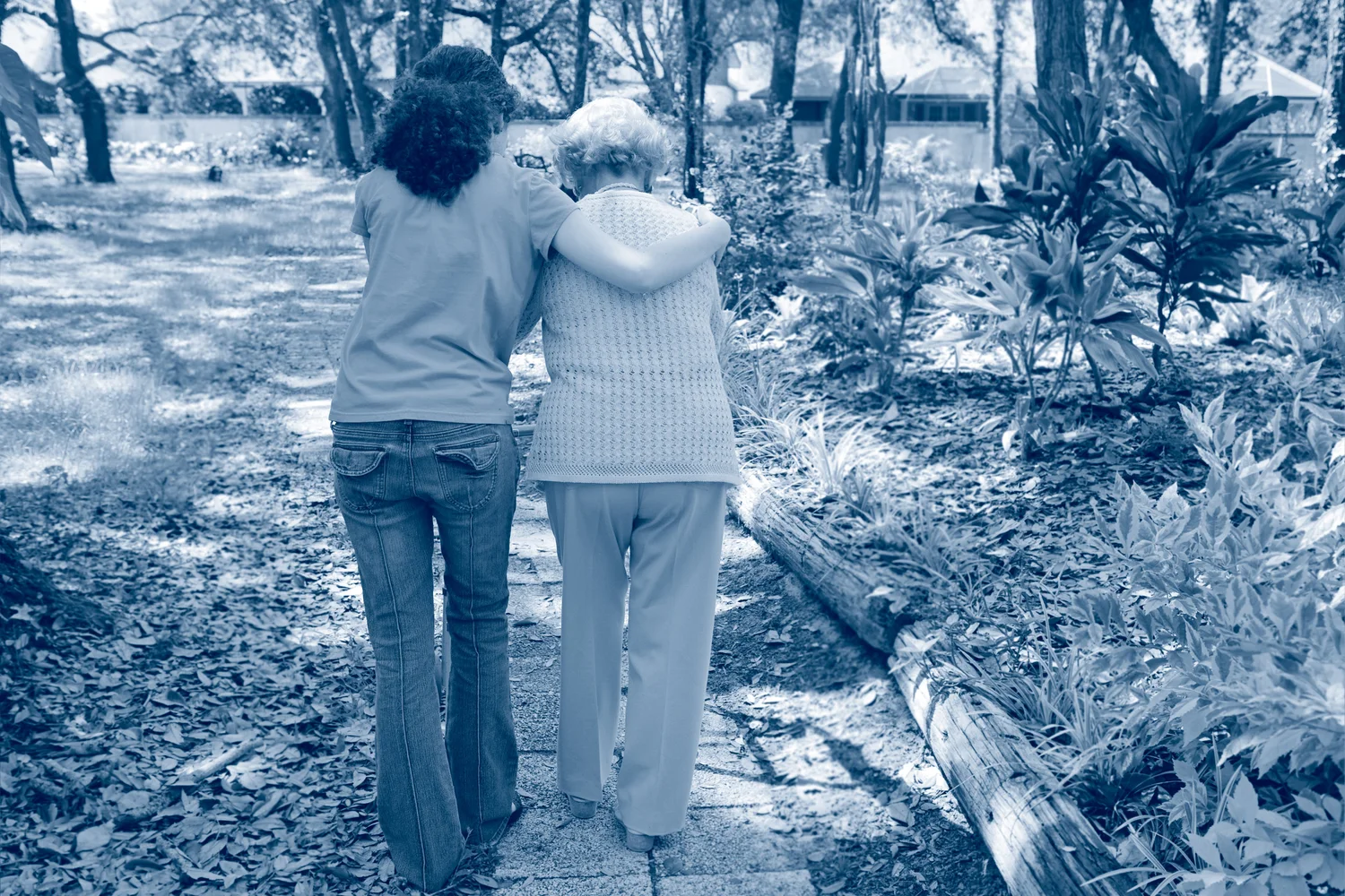 Perspectives on Caregiving
