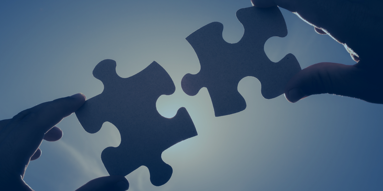 The Evolution of NOF and Rebranding the Organization